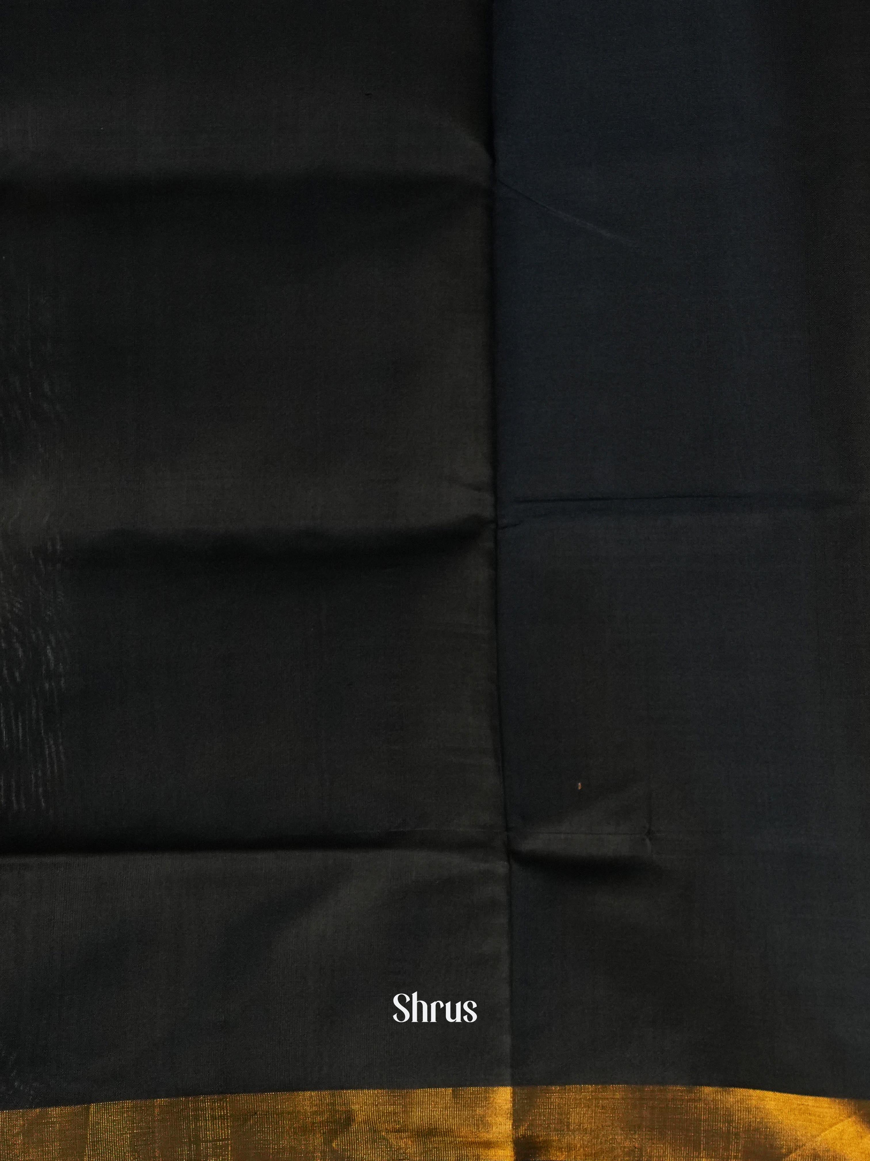 Green & Black - Rajkot Patola Saree - Shop on ShrusEternity.com