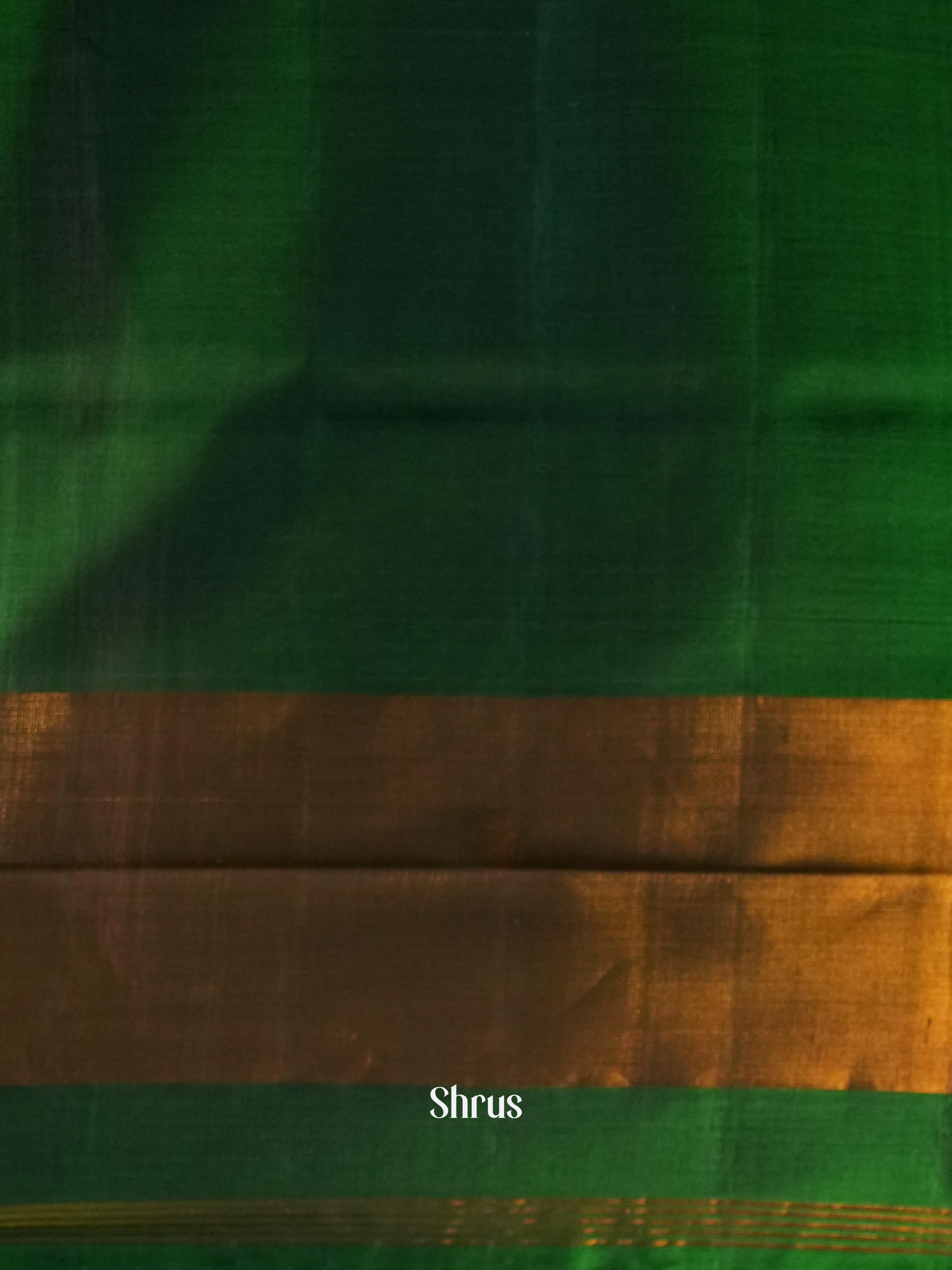 Green & Brown - Rajkot Patola Saree - Shop on ShrusEternity.com