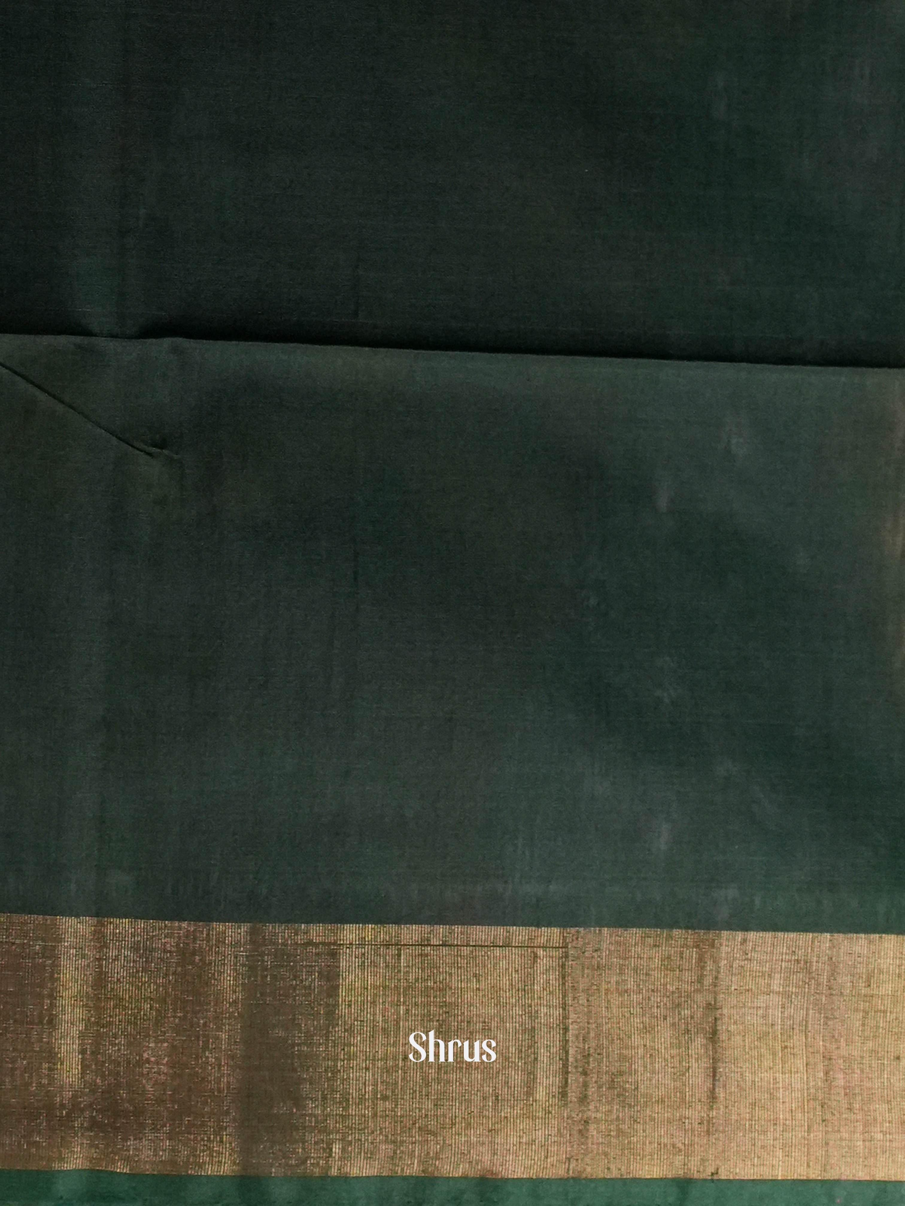 Whitw & Green - Pochampally sico Saree - Shop on ShrusEternity.com