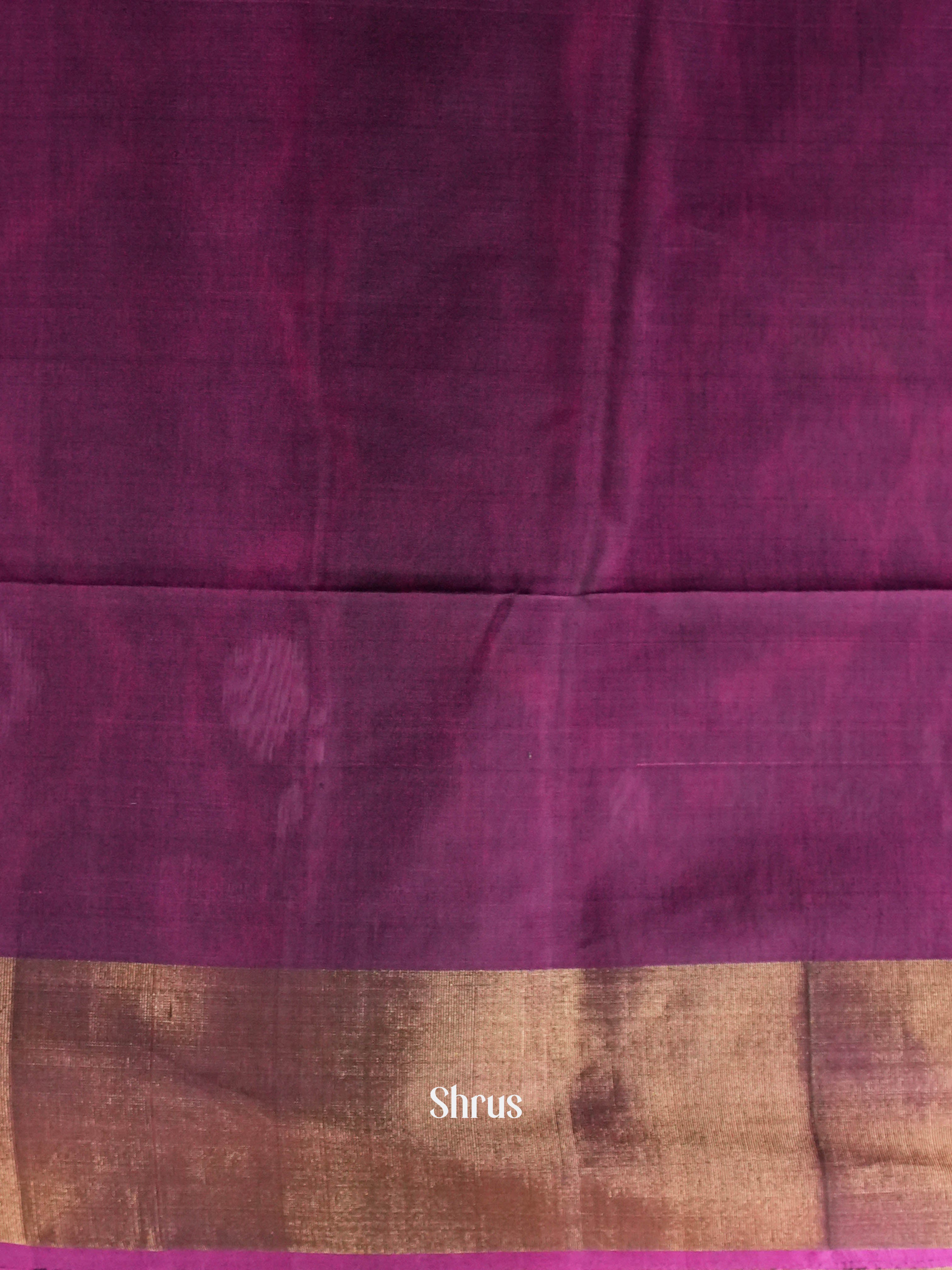 Shamrock Green & Deep Majenta- Pochampally sico Saree - Shop on ShrusEternity.com