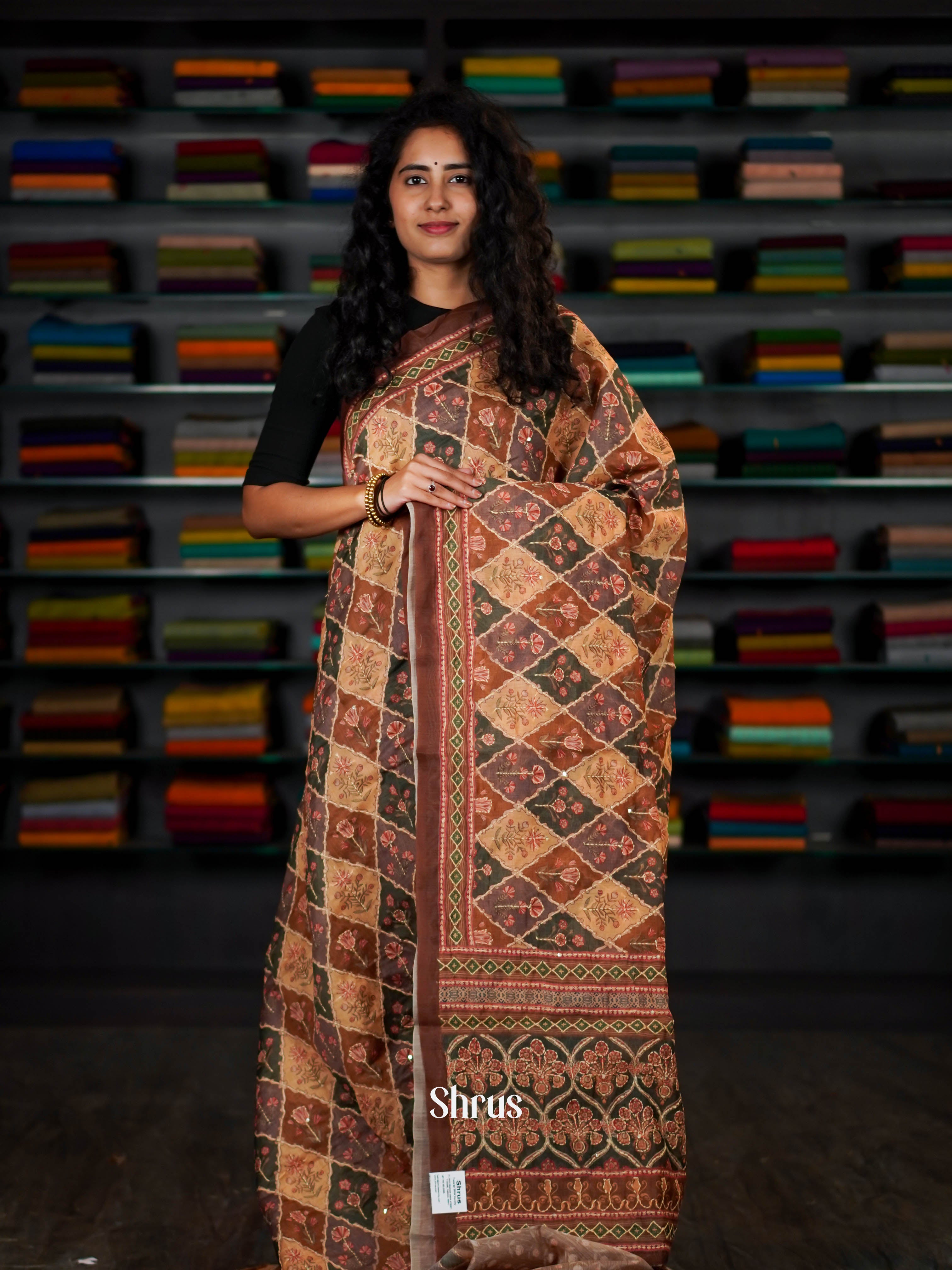 Mixture Of Colors - Semi Kantha Saree - Shop on ShrusEternity.com