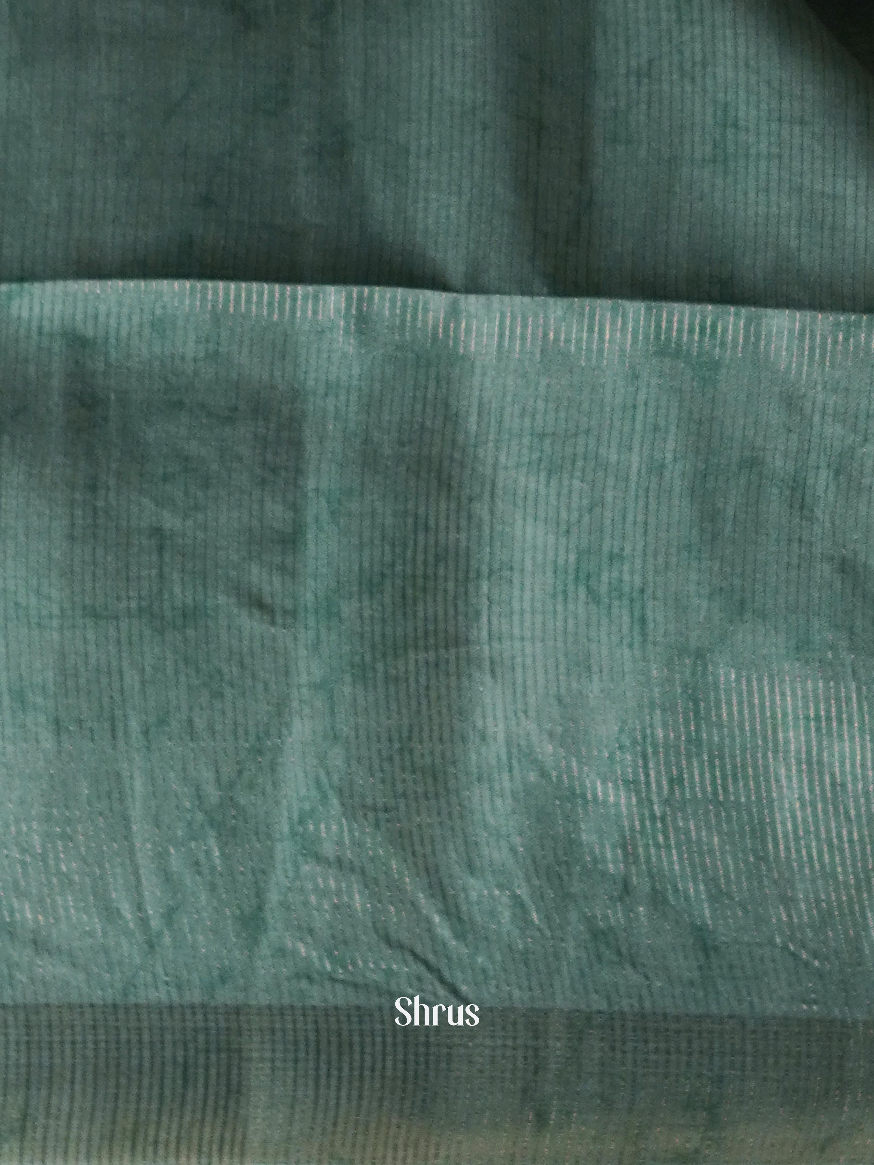 Light Pastel Green - Moonga silk Saree - Shop on ShrusEternity.com