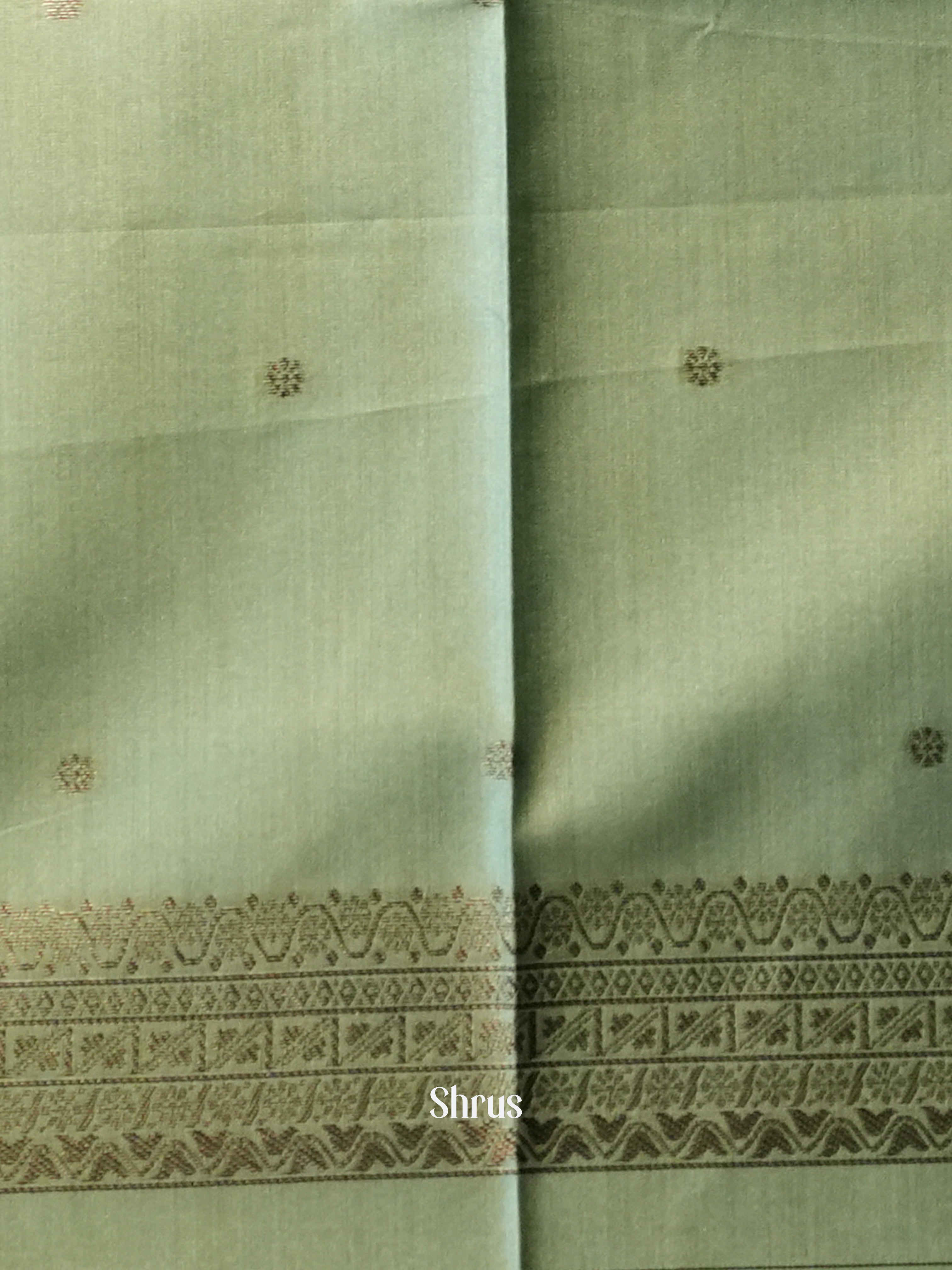 Pastel Green - Semi Tussar Saree - Shop on ShrusEternity.com