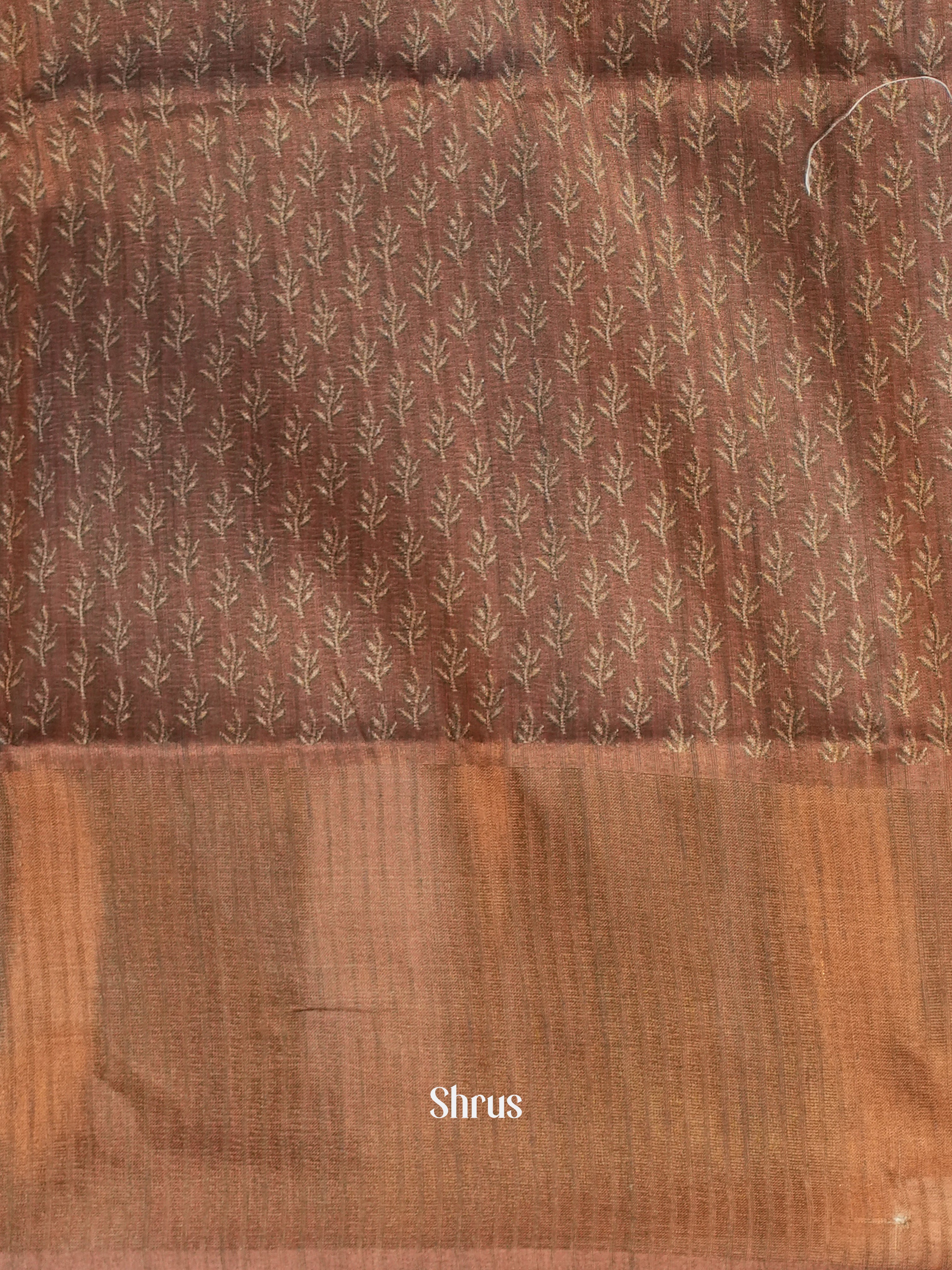 Brown - Matka Cotton Saree - Shop on ShrusEternity.com