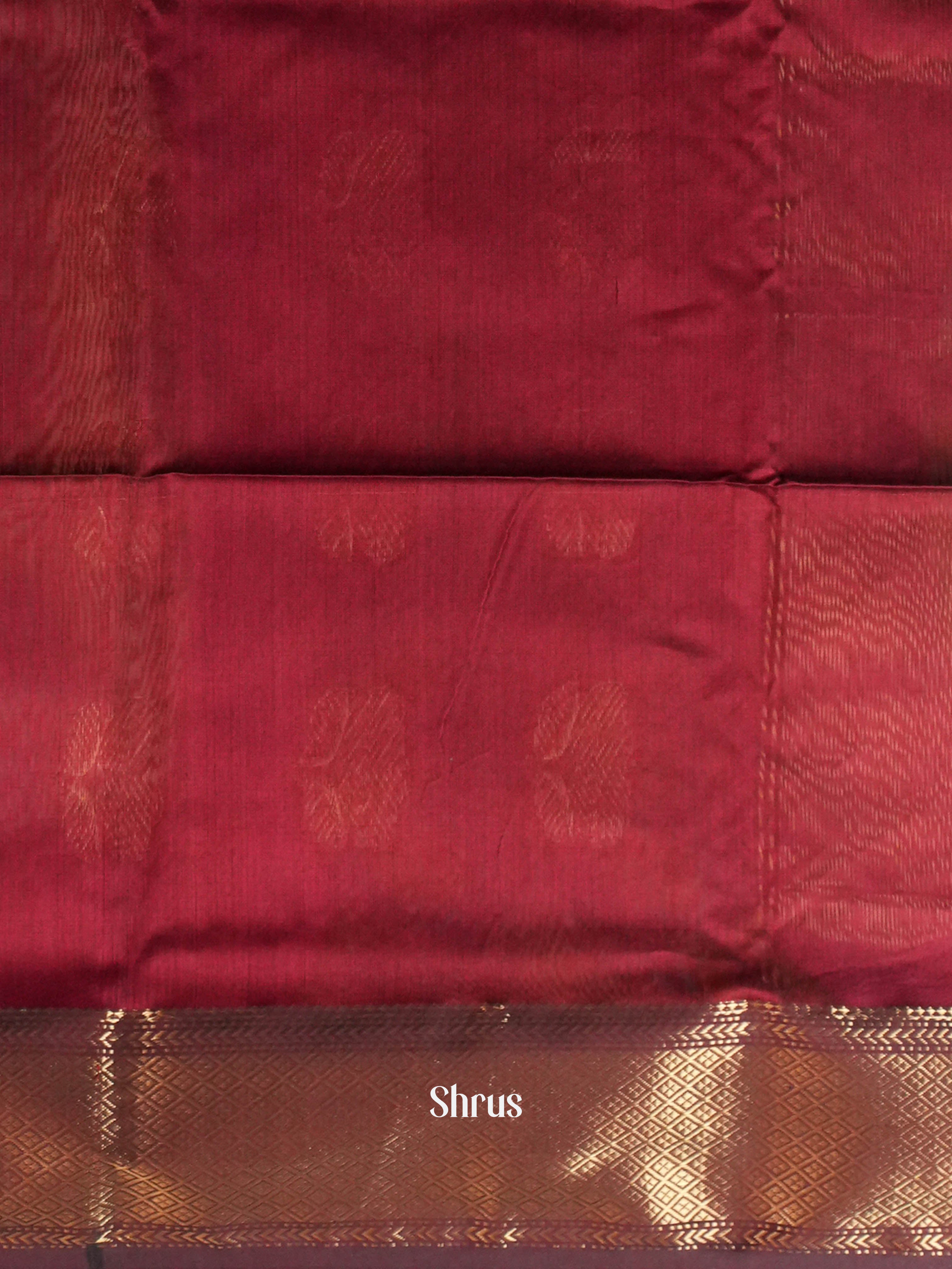 CIS05041 - Maheshwari silkcotton Saree - Shop on ShrusEternity.com