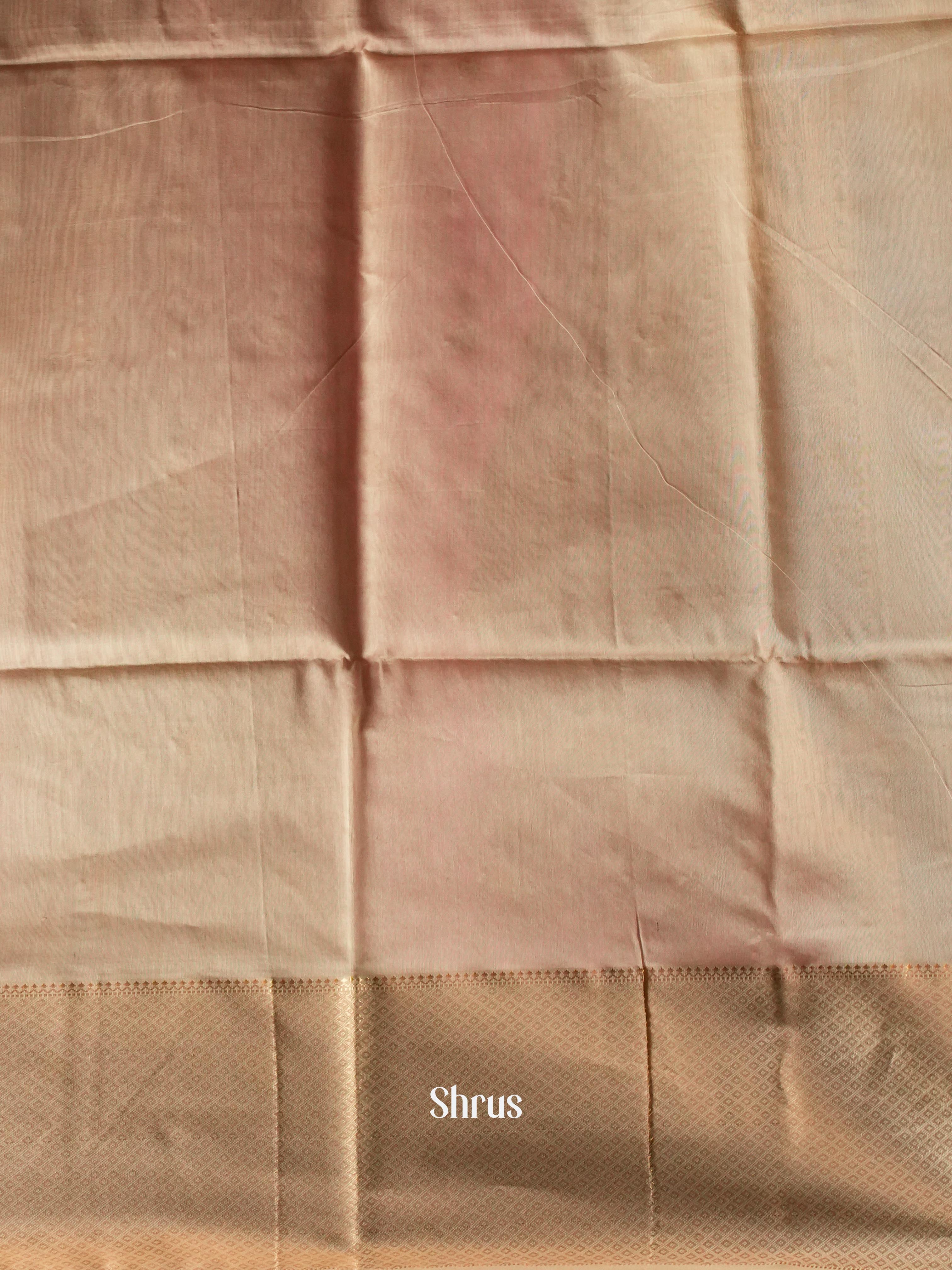 CIS05055 - Maheshwari silkcotton Saree - Shop on ShrusEternity.com