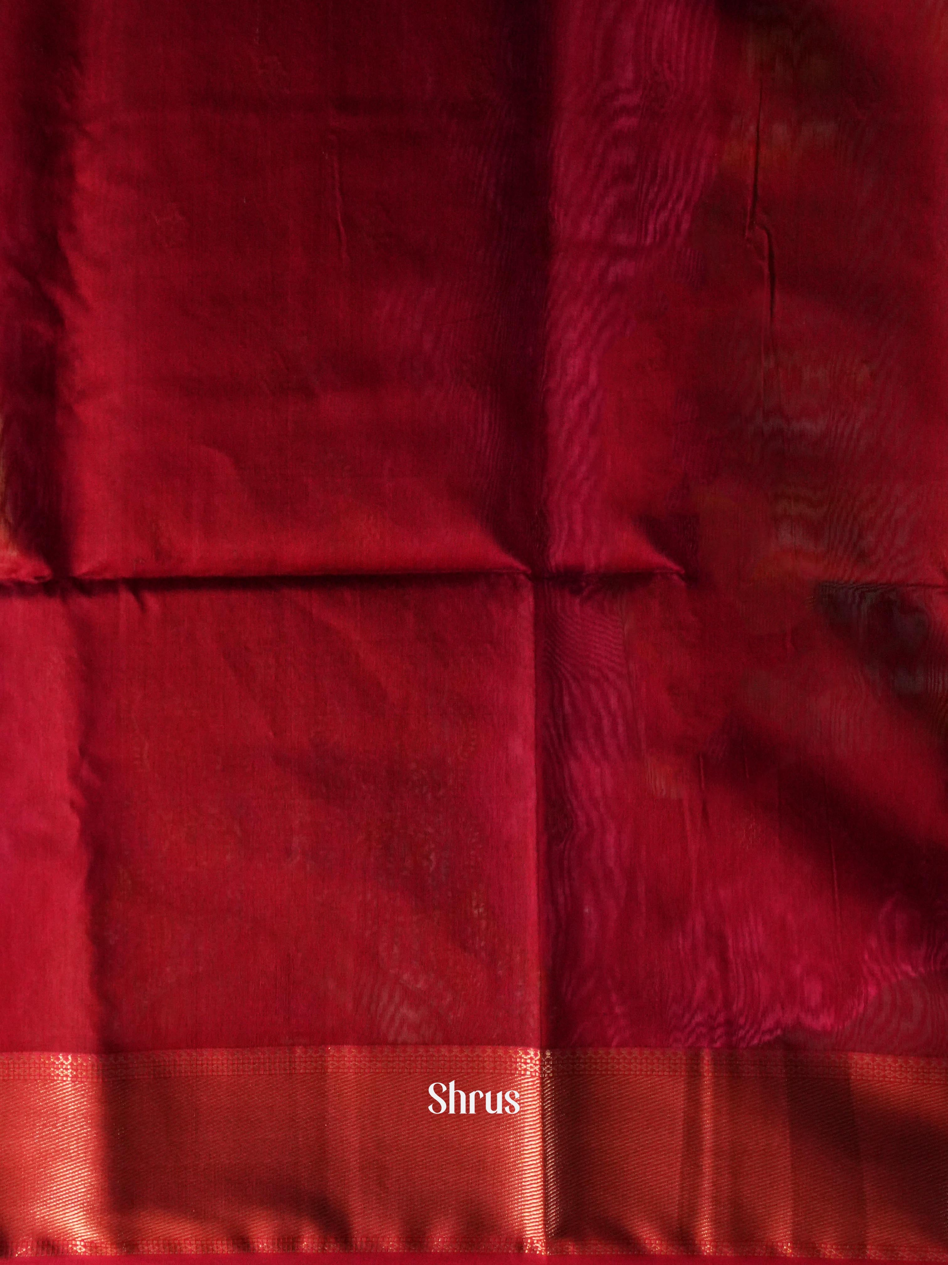 Light Mehandi Green - Maheshwari silkcotton Saree - Shop on ShrusEternity.com