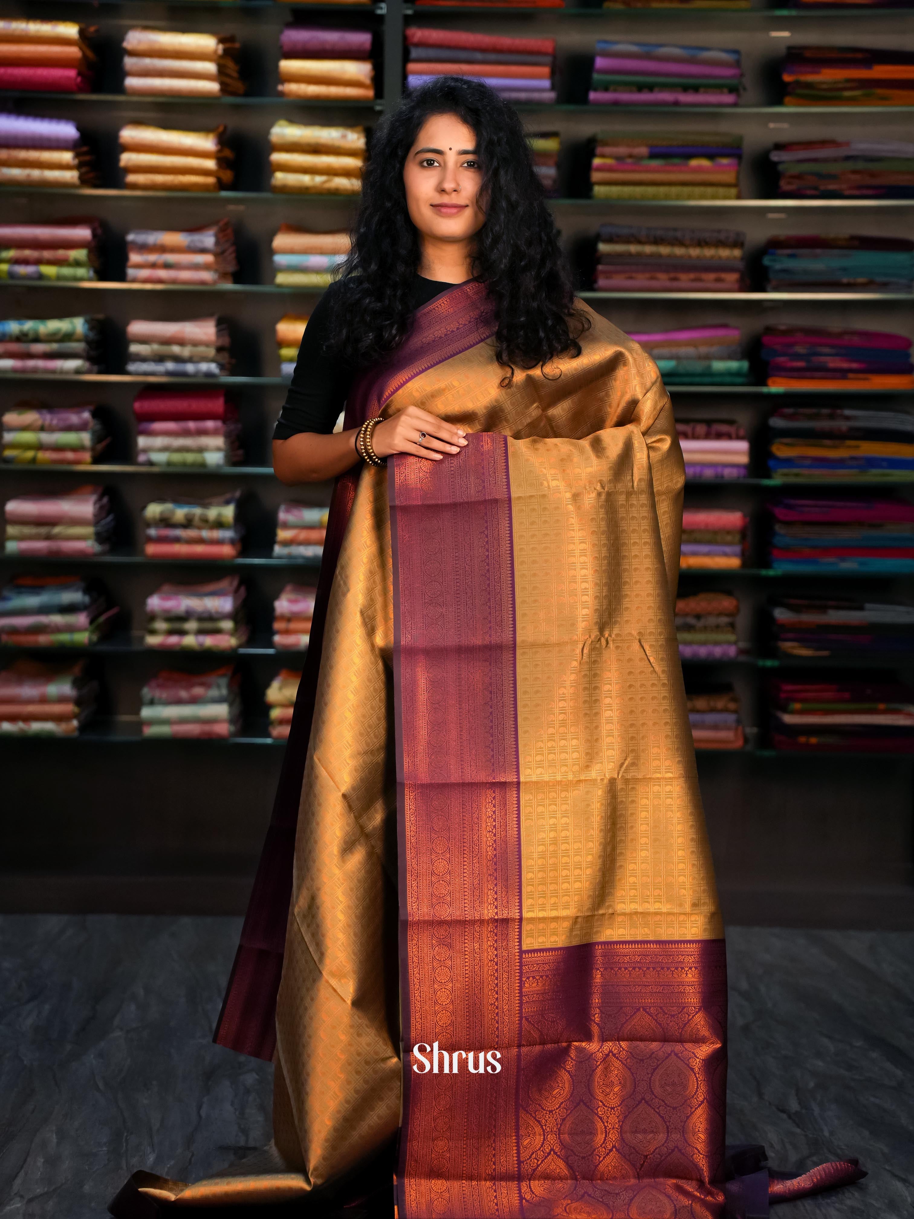 Golden Brown & Purple- Semi Arani Silk Saree - Shop on ShrusEternity.com