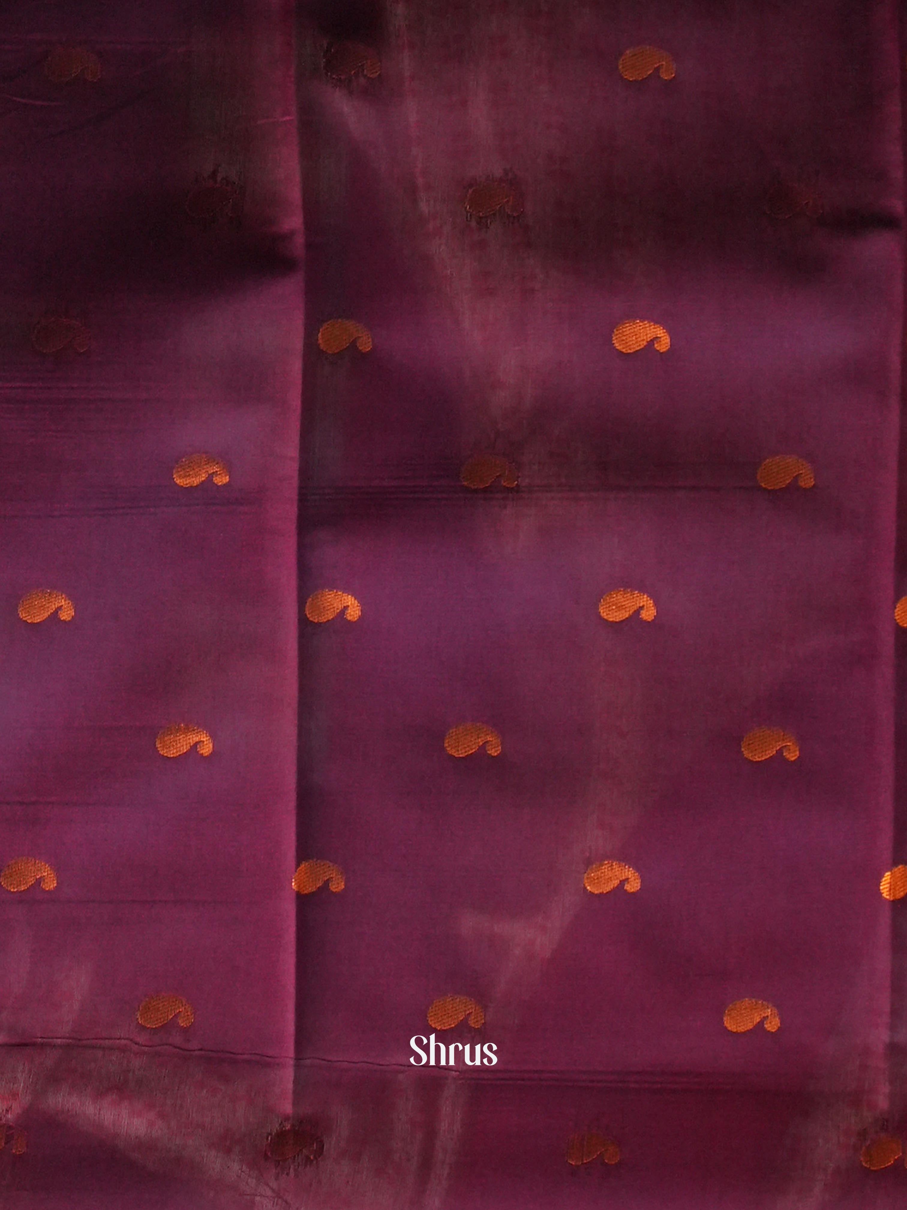 Golden Brown & Purple- Semi Arani Silk Saree - Shop on ShrusEternity.com