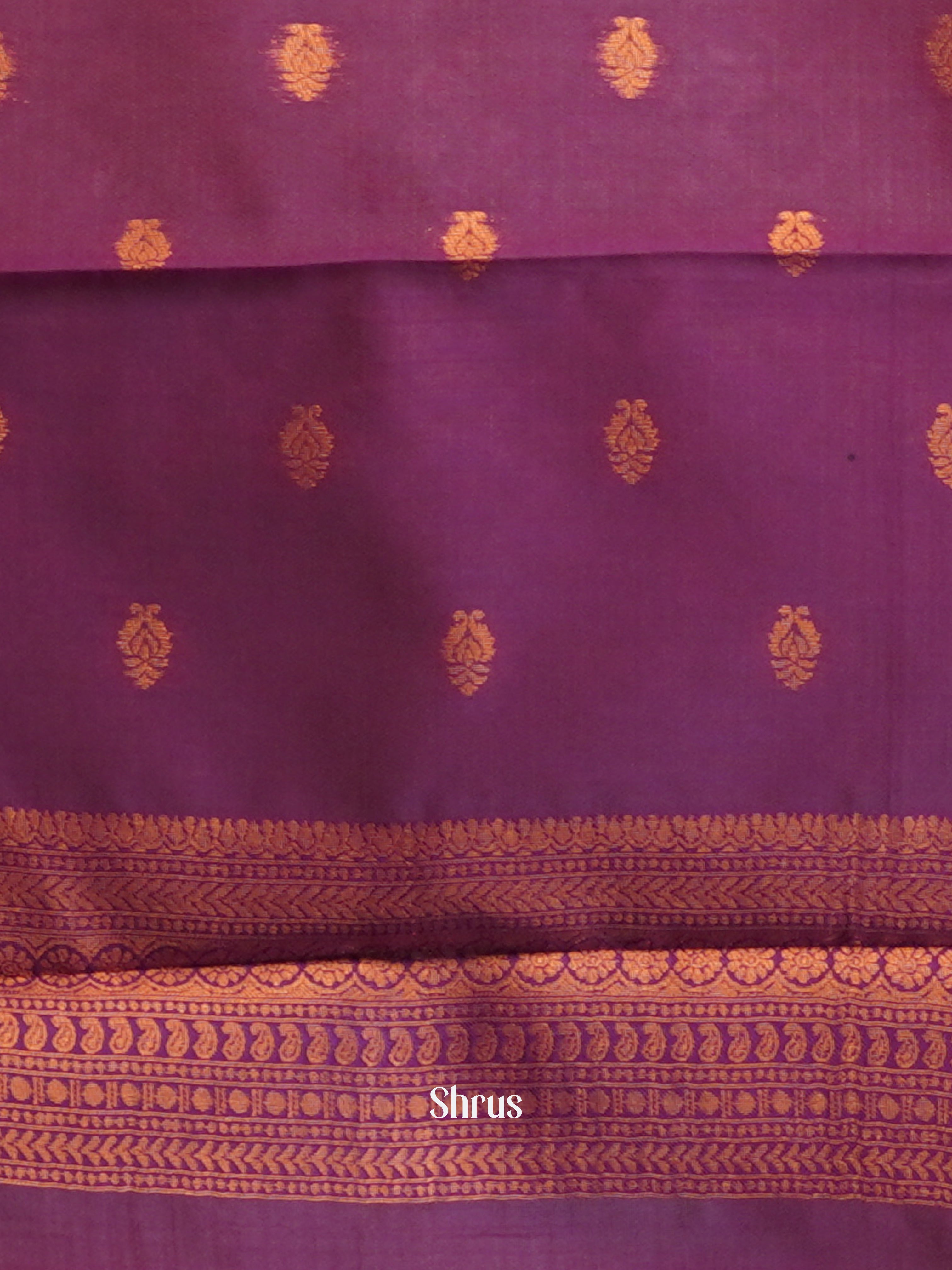 Cream & Purple - Semi Arani Silk Saree - Shop on ShrusEternity.com