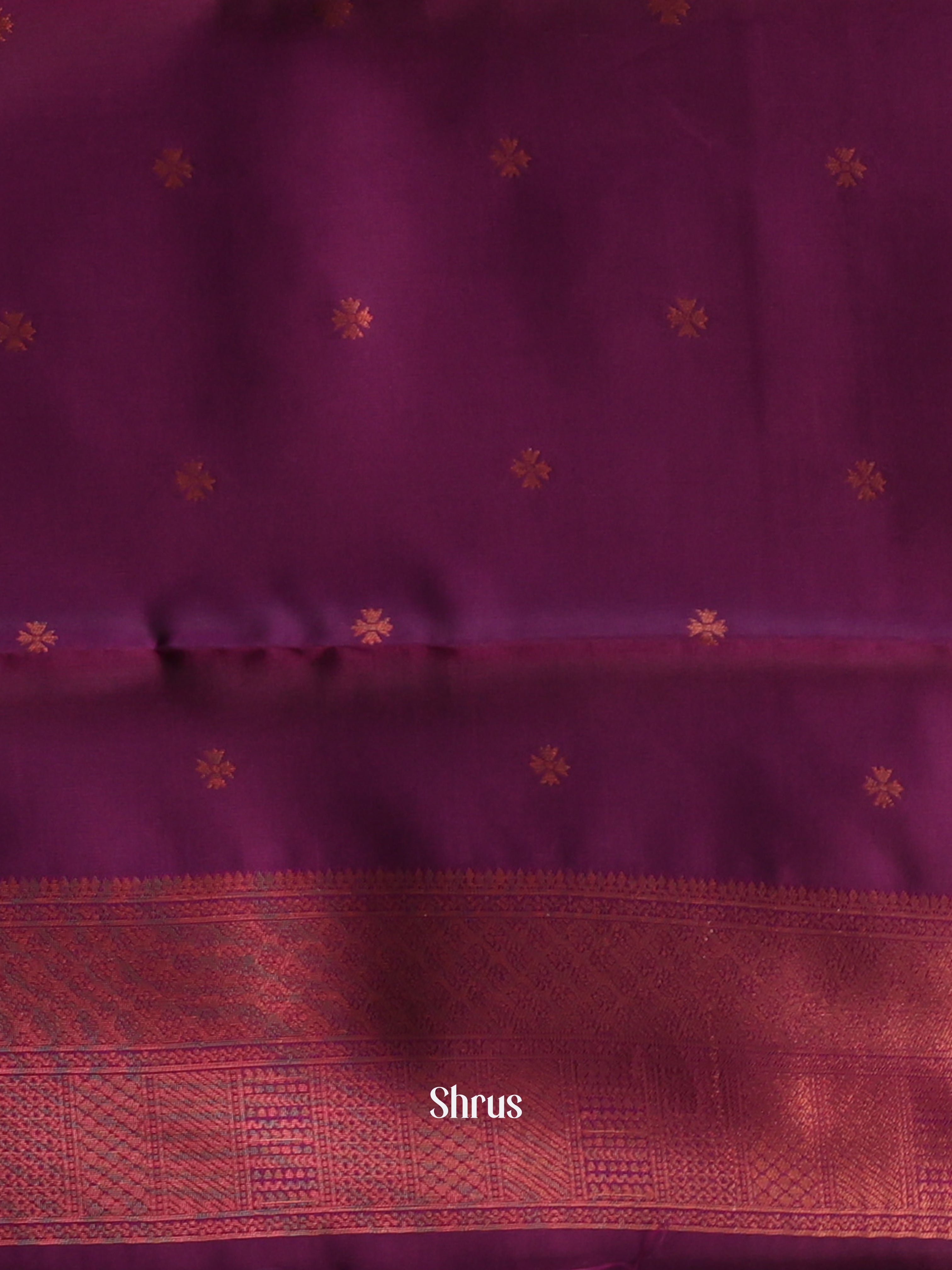 Blue & Purple - Semi Arani Silk Saree - Shop on ShrusEternity.com