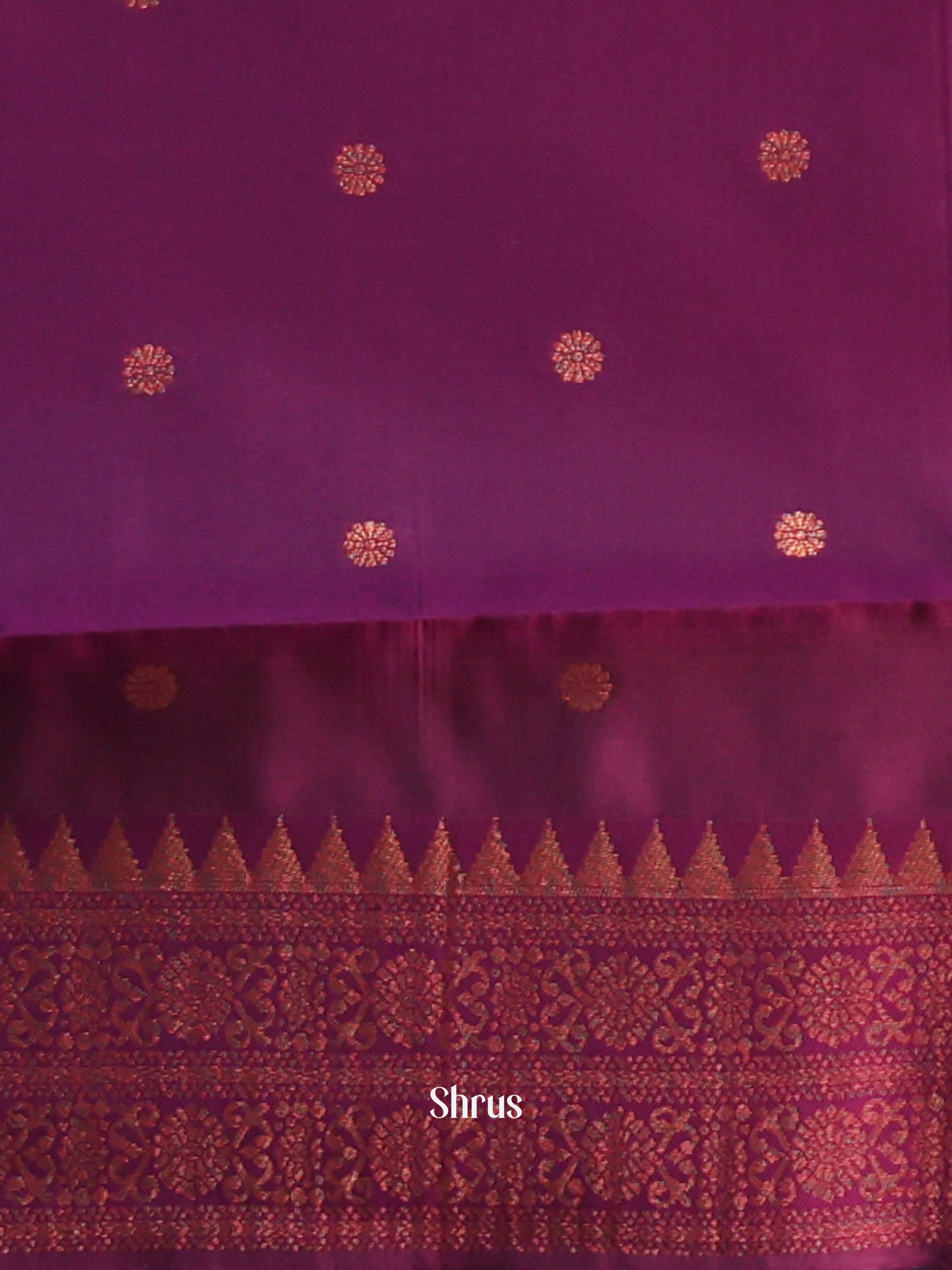 CIS05309 - Semi Arani Silk Saree - Shop on ShrusEternity.com
