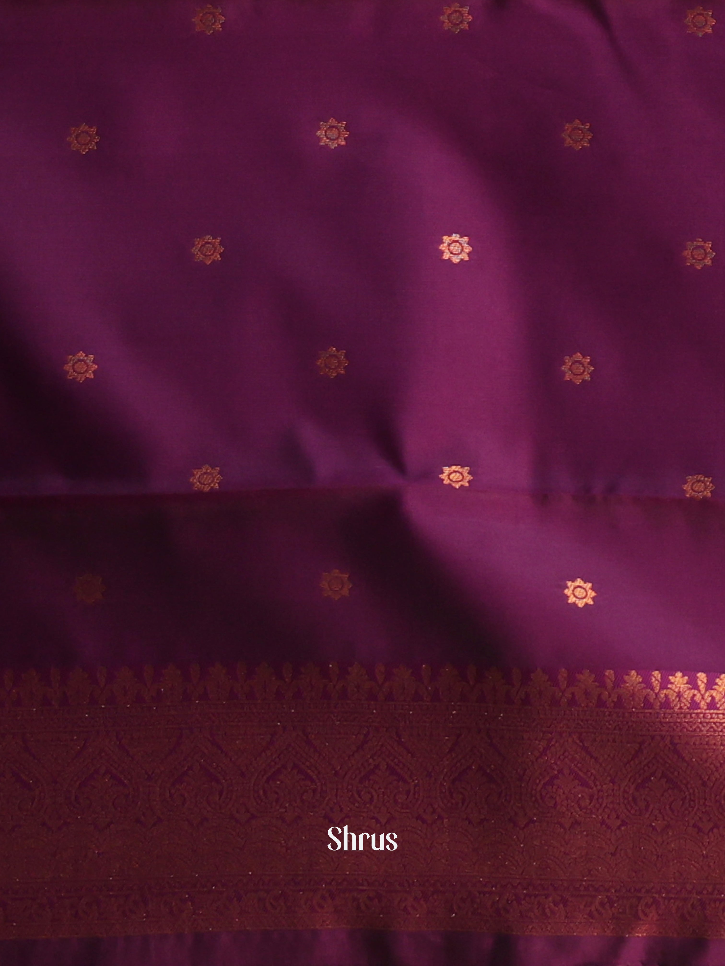 Ice Blue & Purple - Semi Arani Silk Saree - Shop on ShrusEternity.com