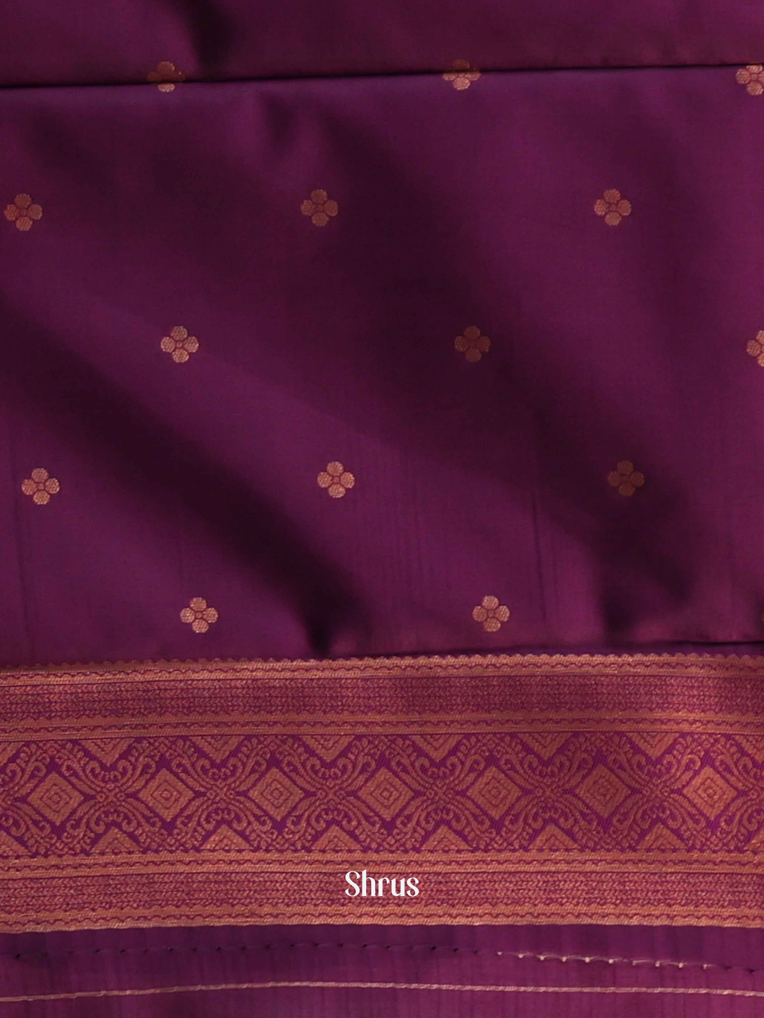 Ice Blue & Purple - Semi Arani Silk Saree - Shop on ShrusEternity.com