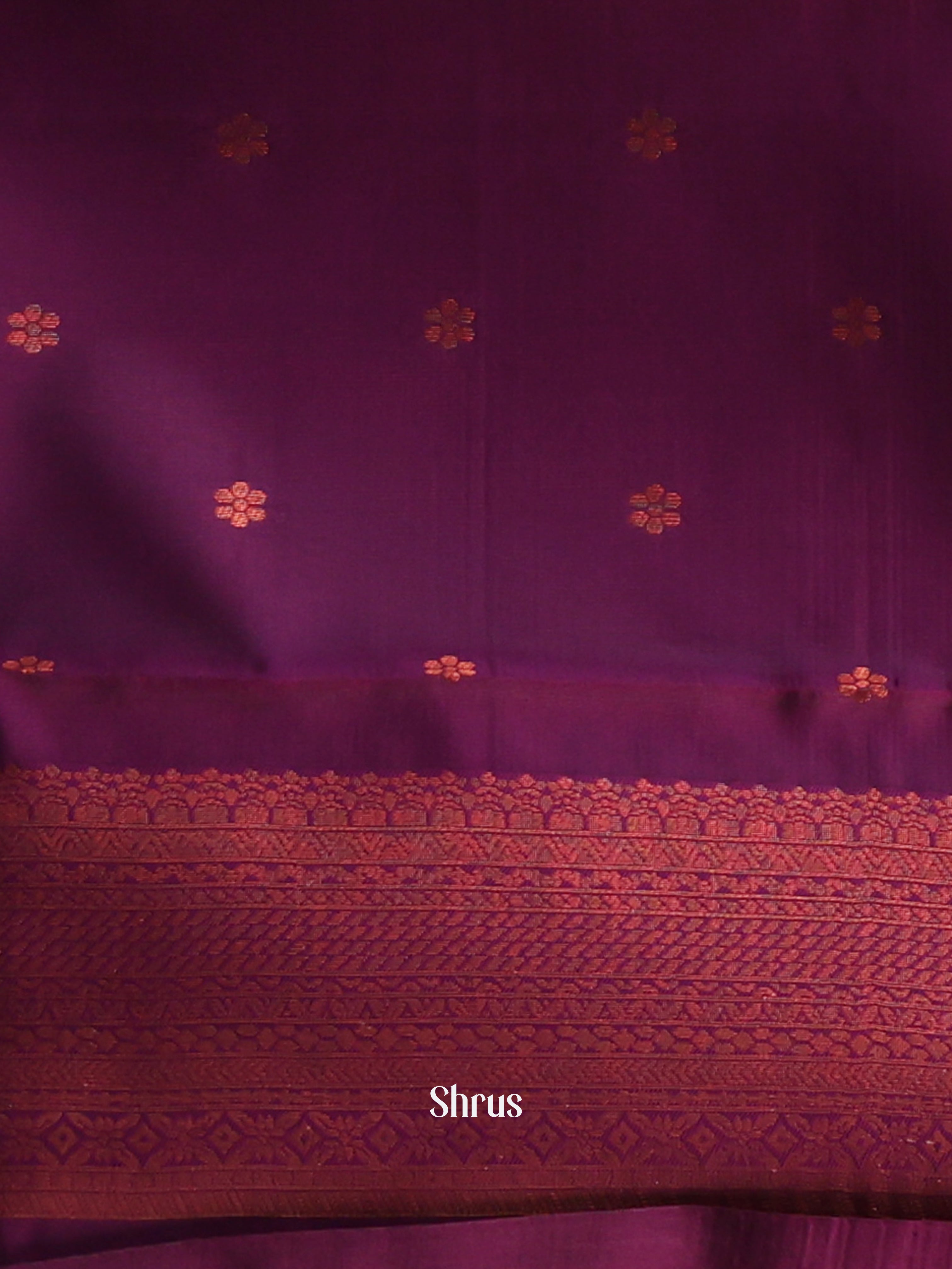 Cream & Purple - Semi Arani Silk Saree - Shop on ShrusEternity.com