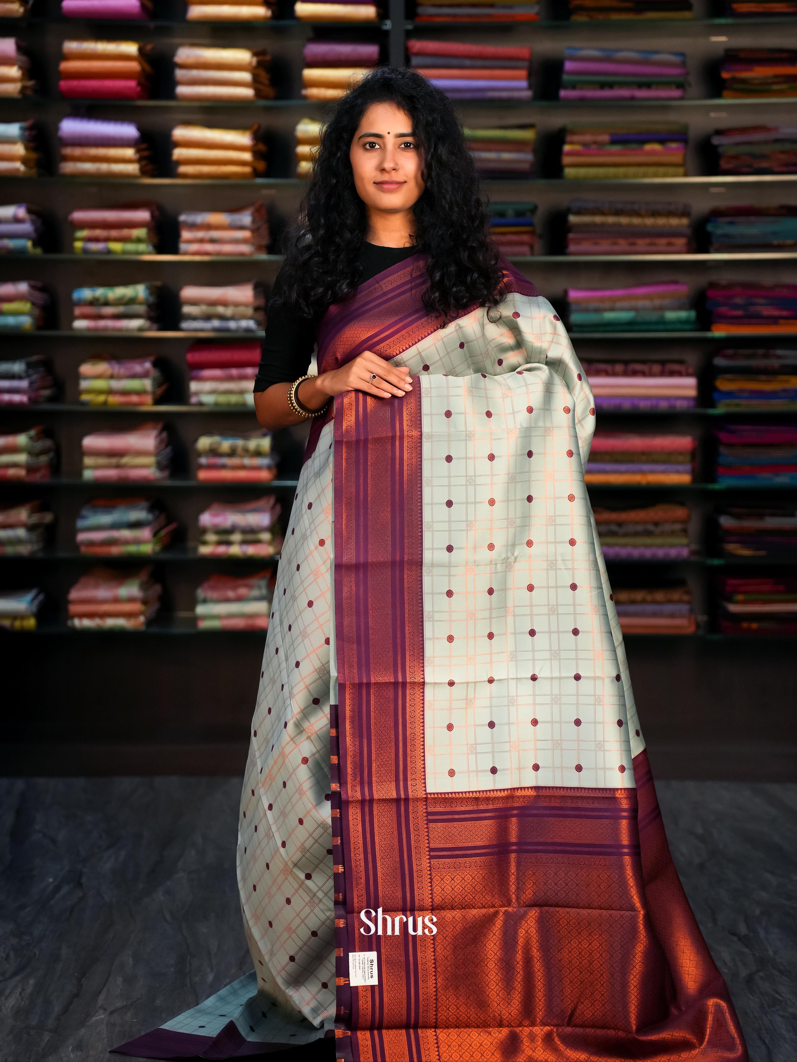 Pastel Blue & Purple- Semi Arani Silk Saree - Shop on Shrus.com