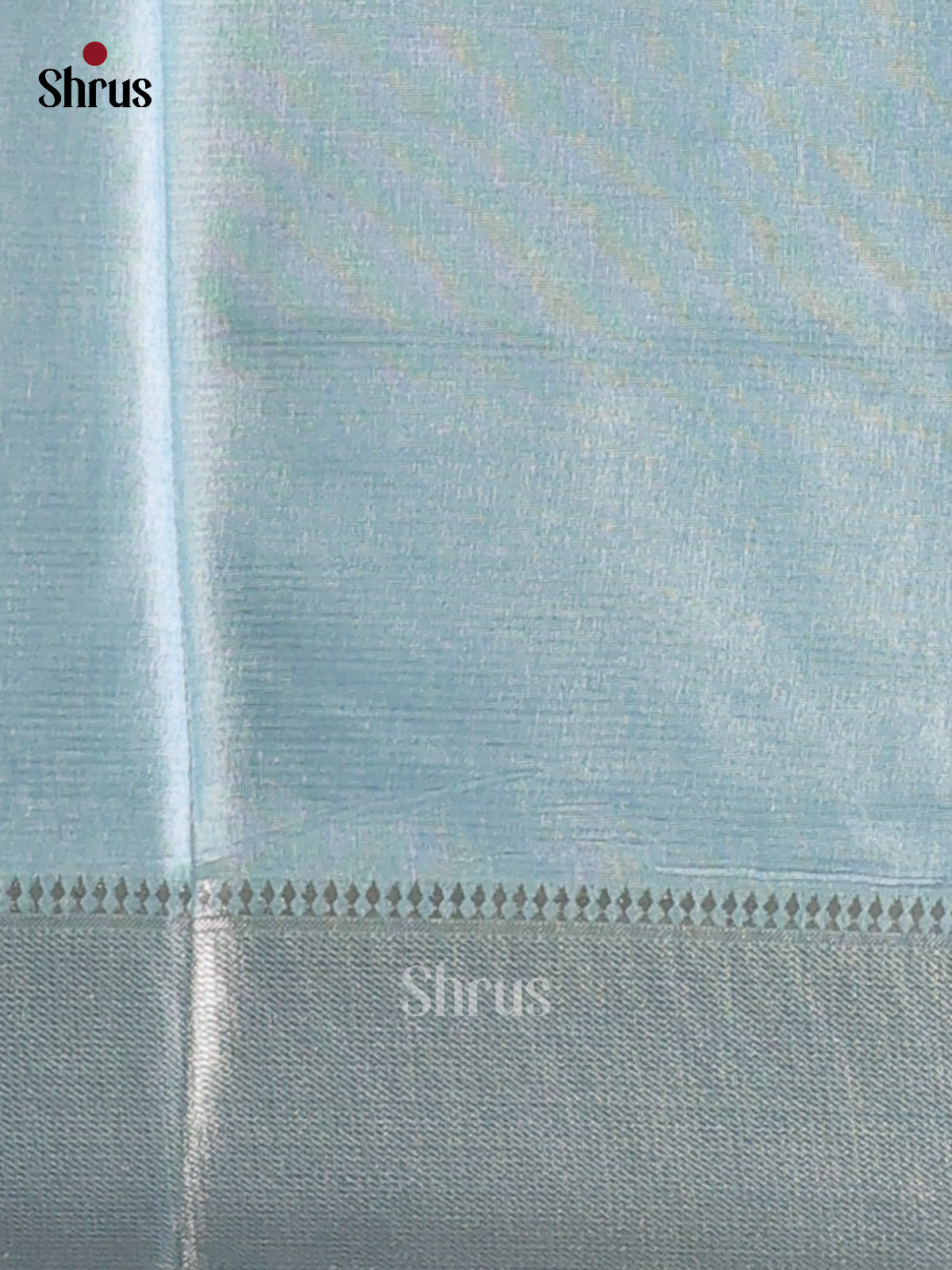 Sky Blue - Printed Tussar - CIS06444 - Shop on Shrus.com