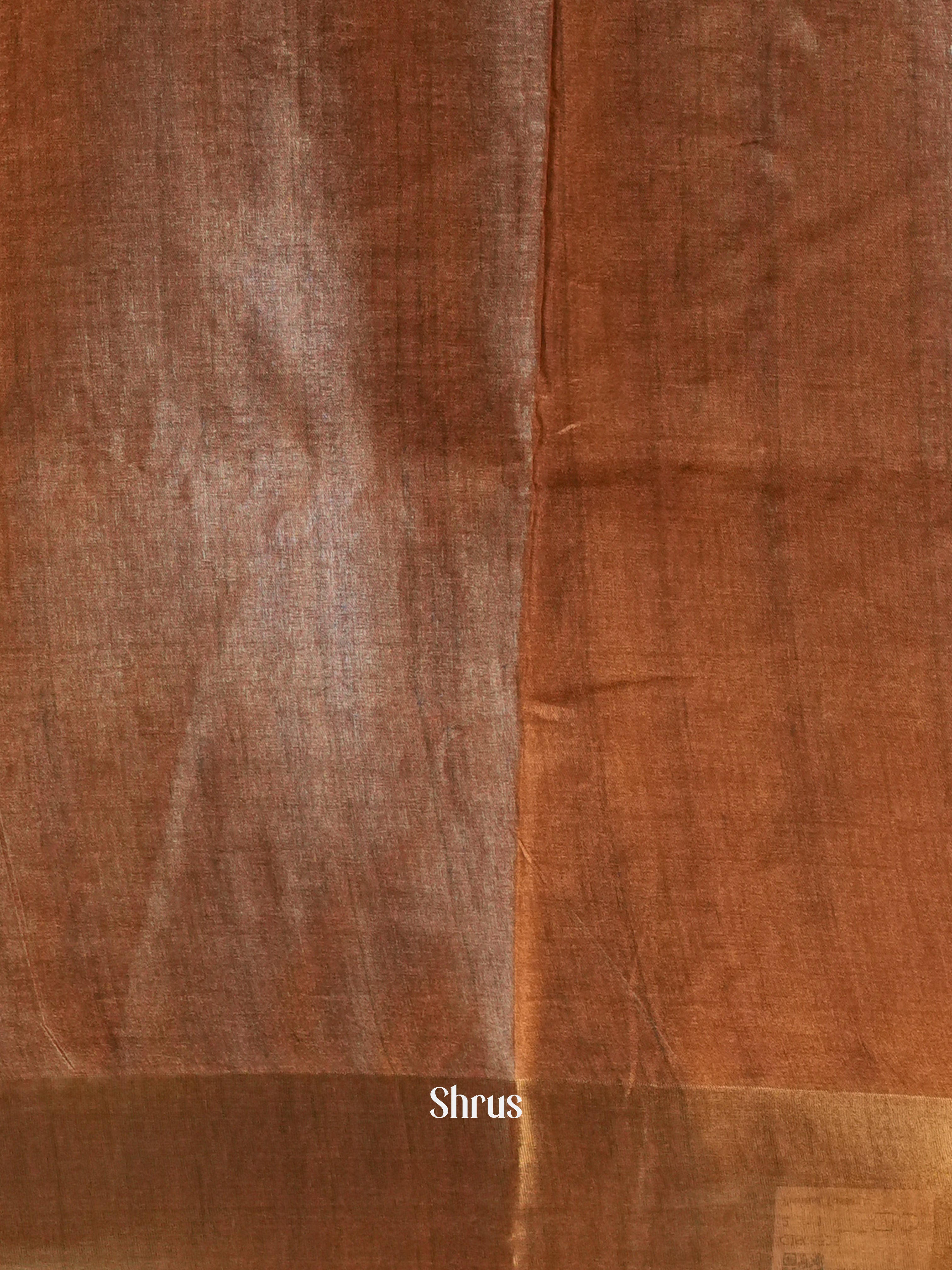 Brown - Printed Tussar Saree - Shop on Shrus.com