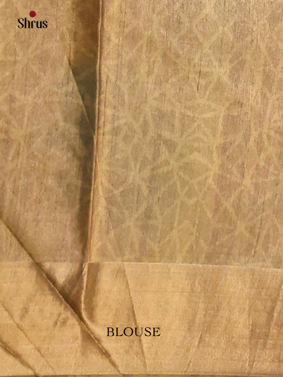 Mehandi Green - Printed Tussar saree - CIS06551 - Shop on Shrus.com