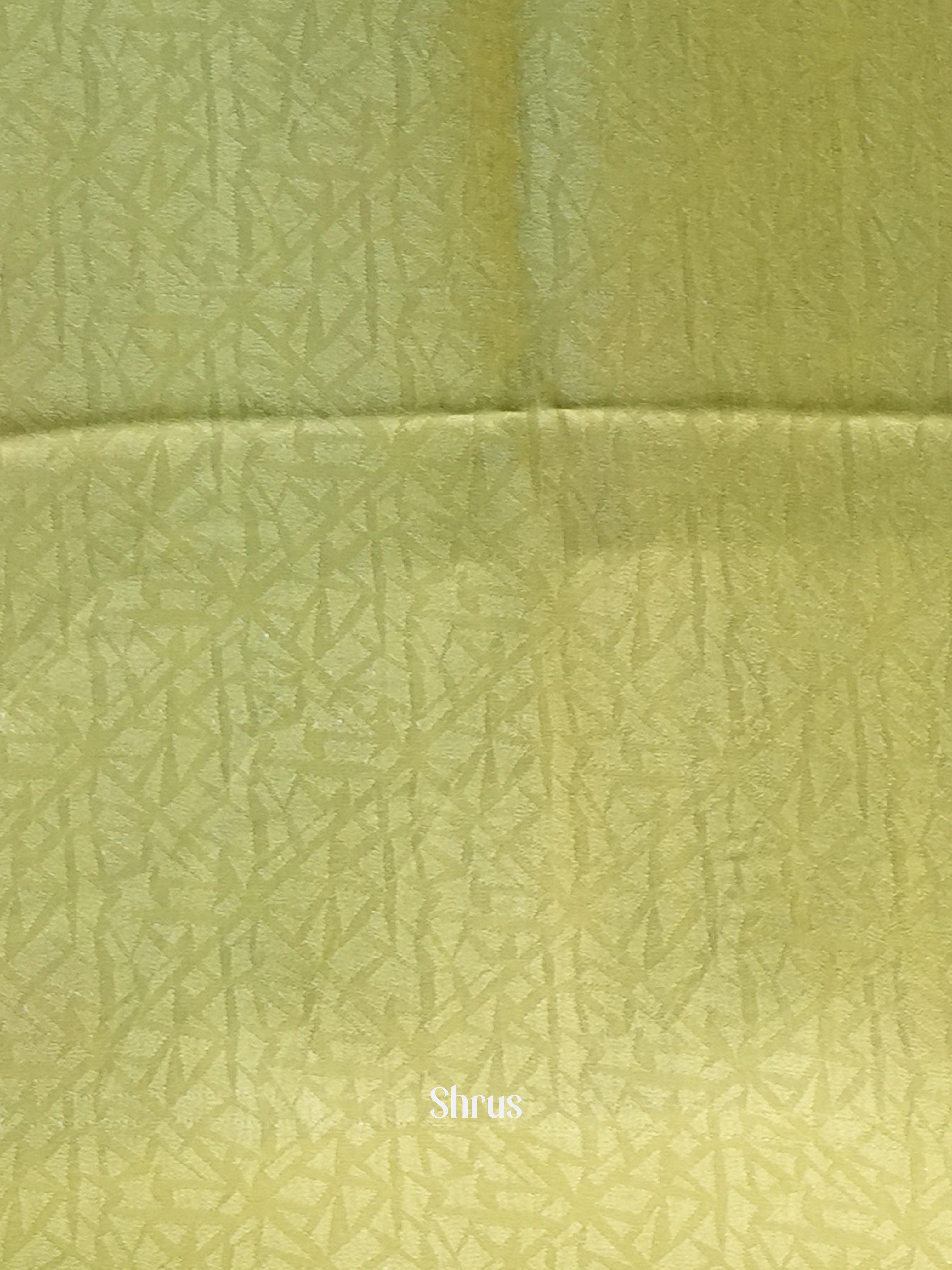 Lite Green - Semi Organza Saree - Shop on Shrus.com