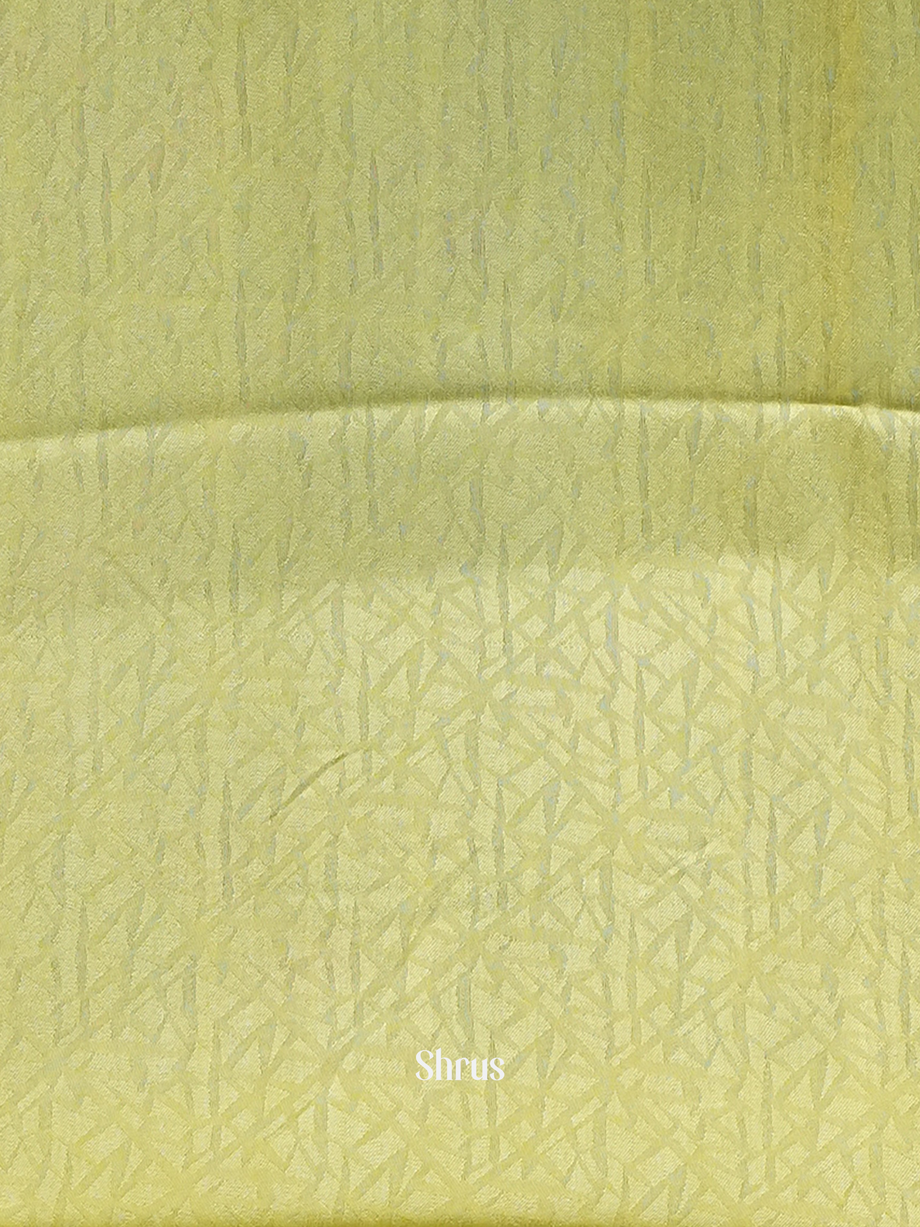 Lite Green - Semi Organza Saree - Shop on Shrus.com
