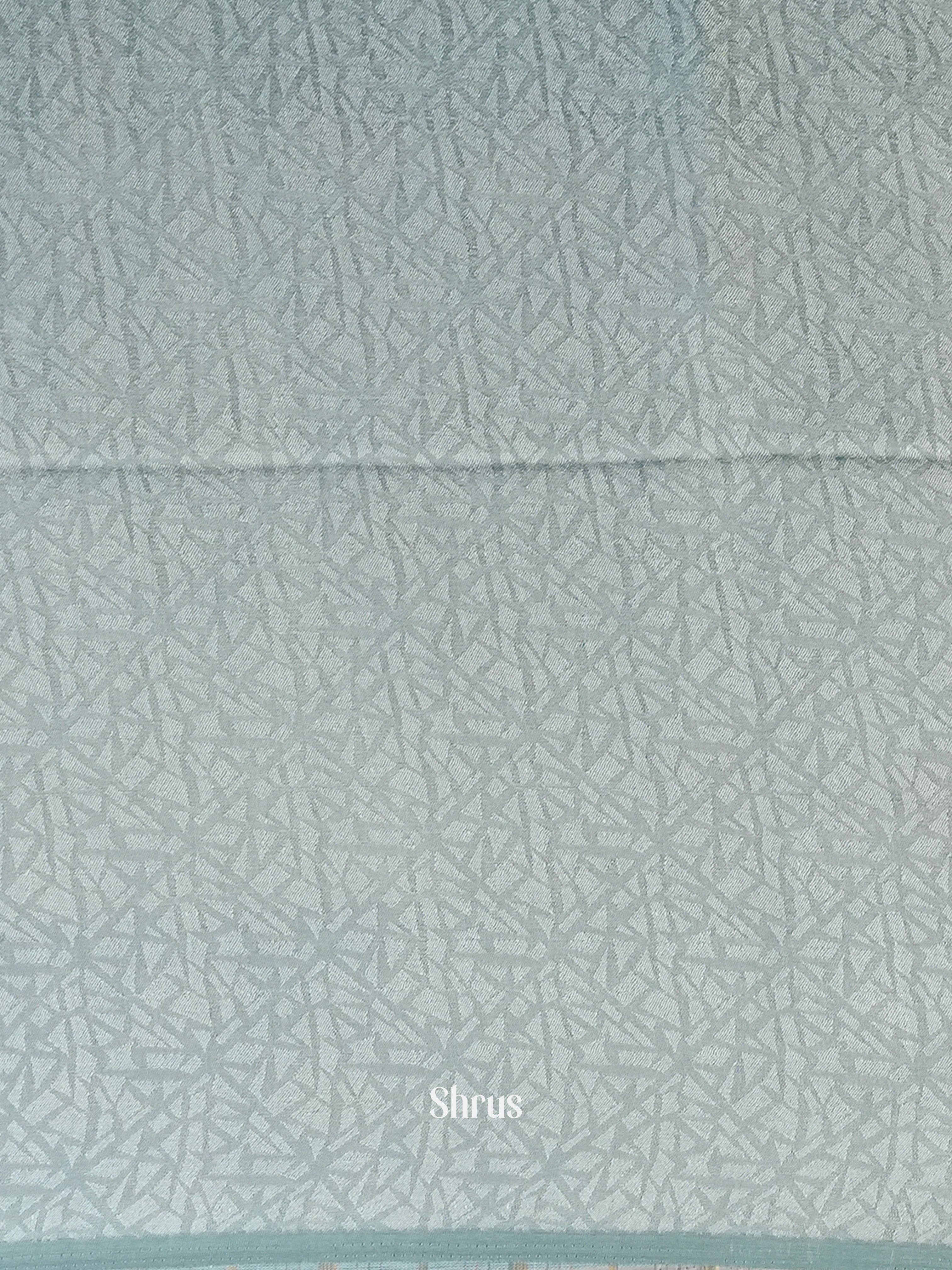 Grey - Semi Organza Saree - Shop on Shrus.com