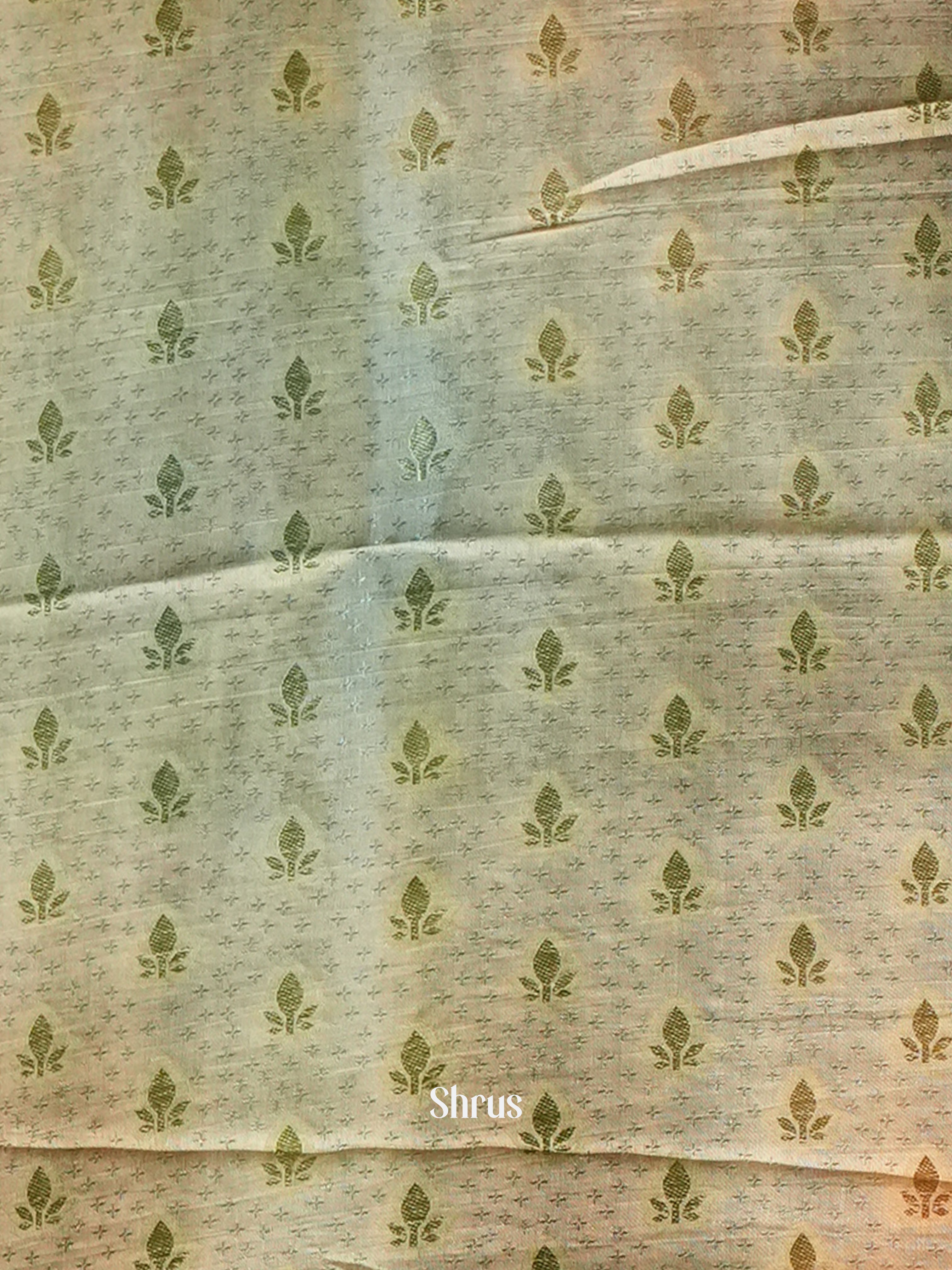 Lite Green - Semi Organza Saree - Shop on Shrus.com