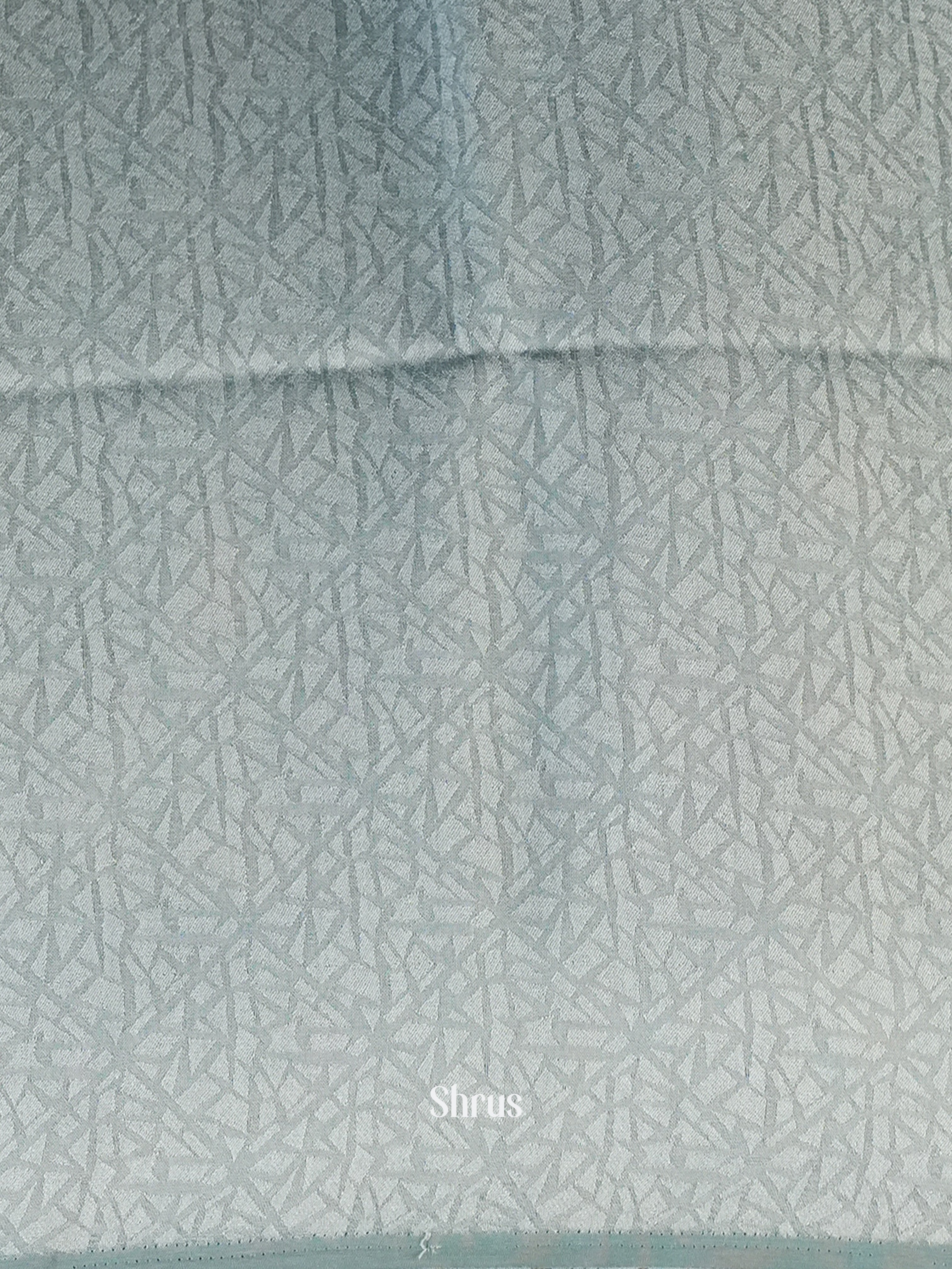 Grey - Semi Organza Saree - Shop on Shrus.com