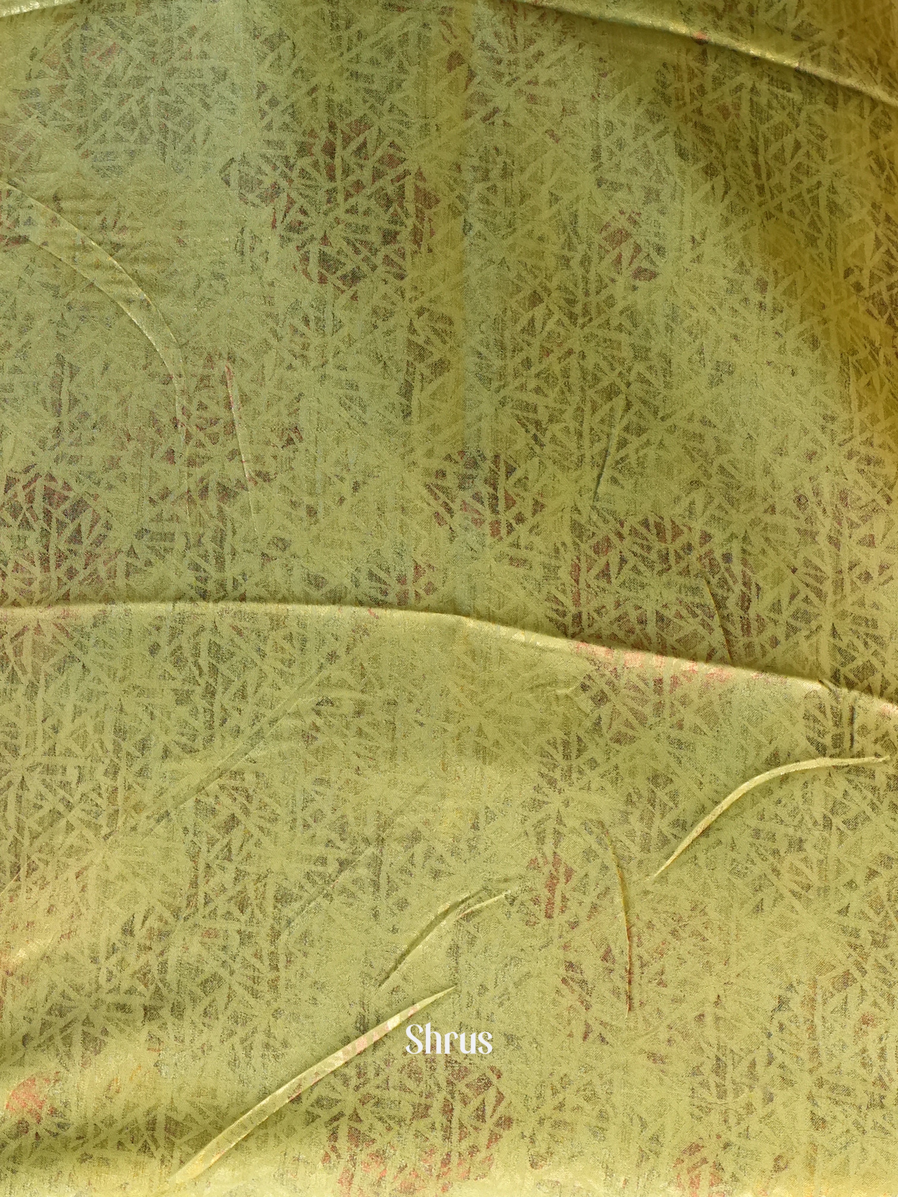 Lite Green - Semi Organza Saree - Shop on Shrus.com