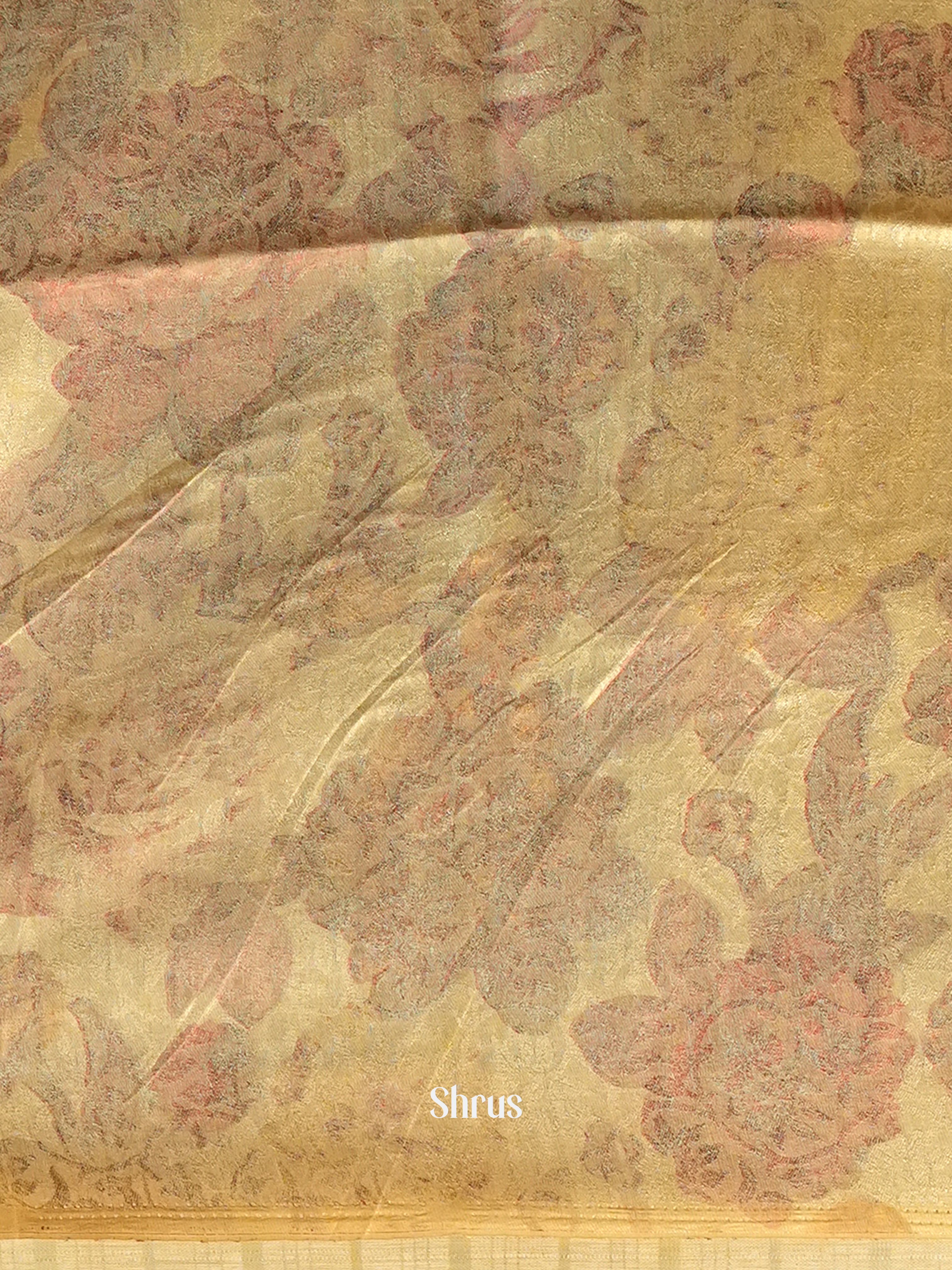 Cream - Semi Organza Saree - Shop on Shrus.com