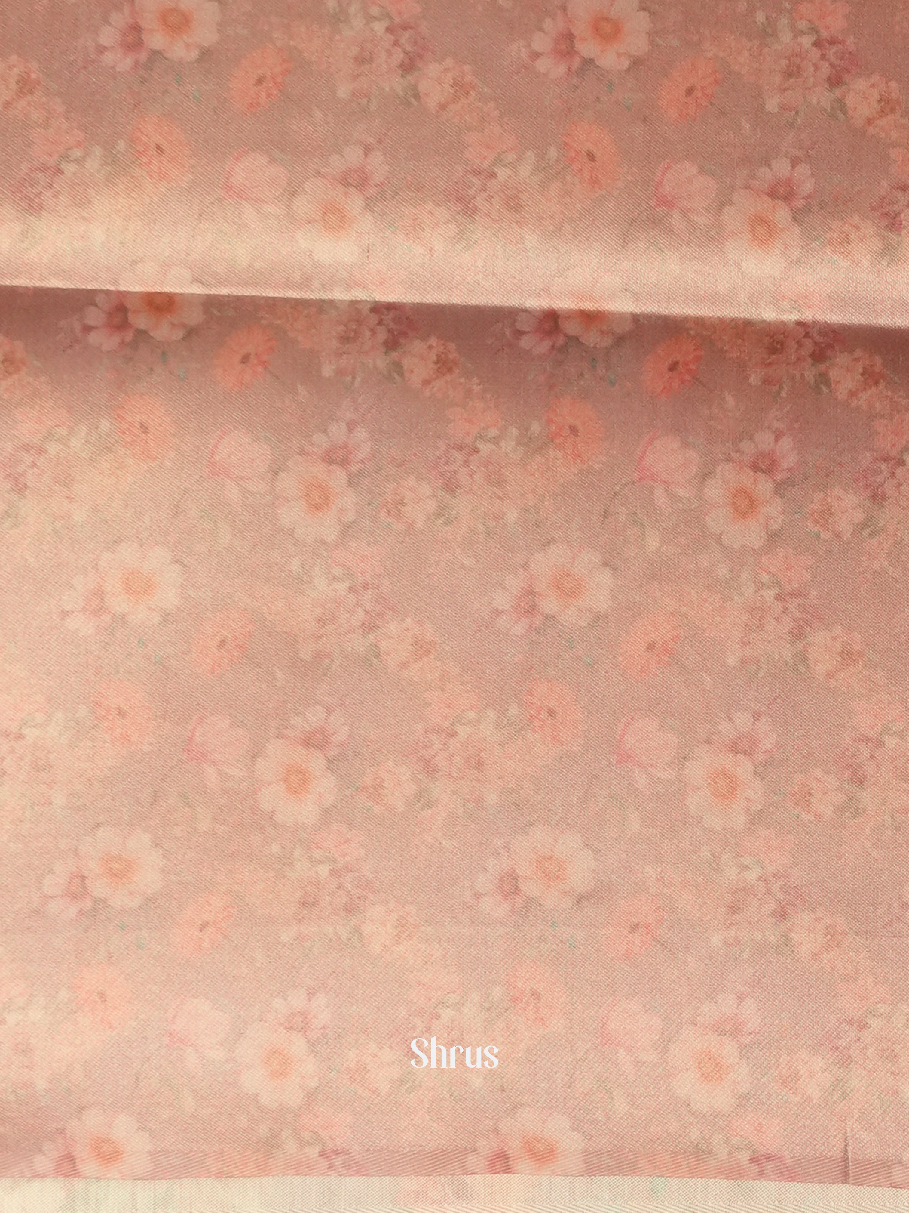 Grey & Brown - Semi Organza Saree - Shop on Shrus.com