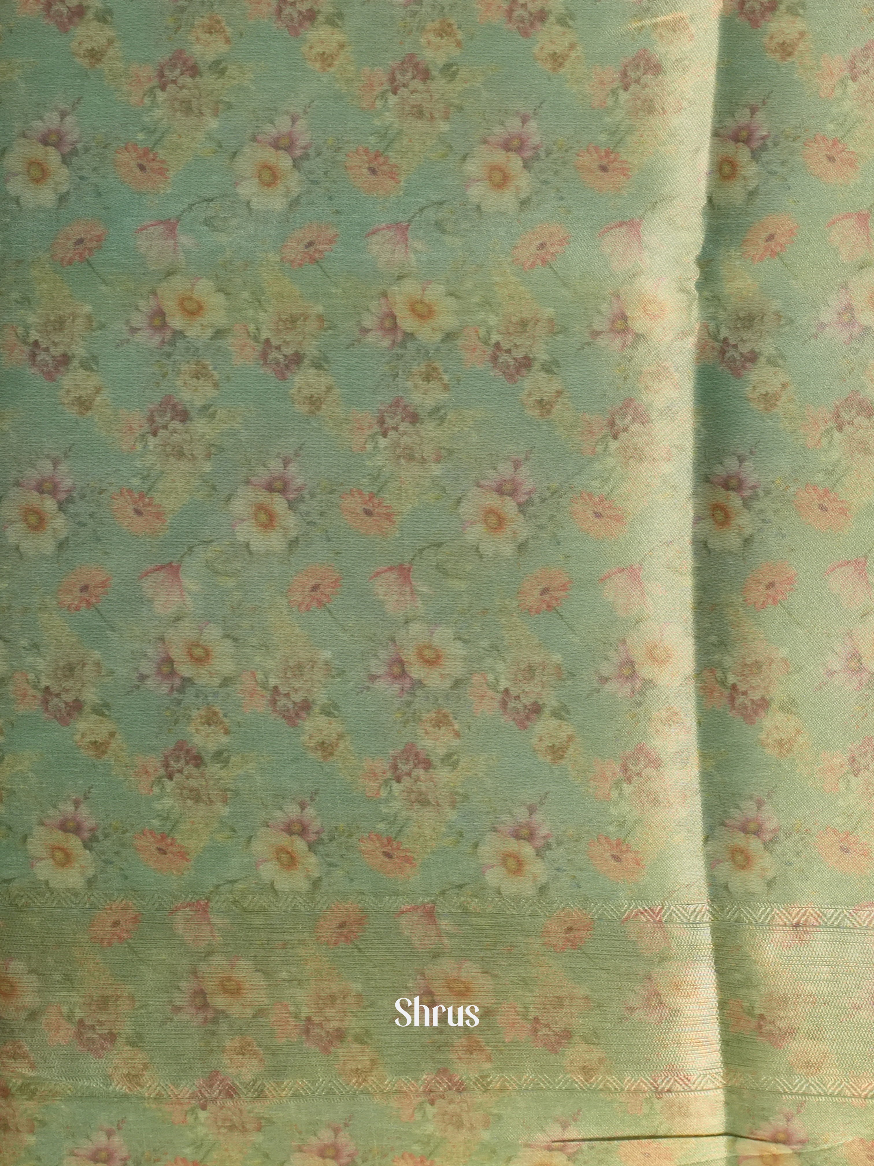 Beige & Green - Semi Organza Saree - Shop on Shrus.com