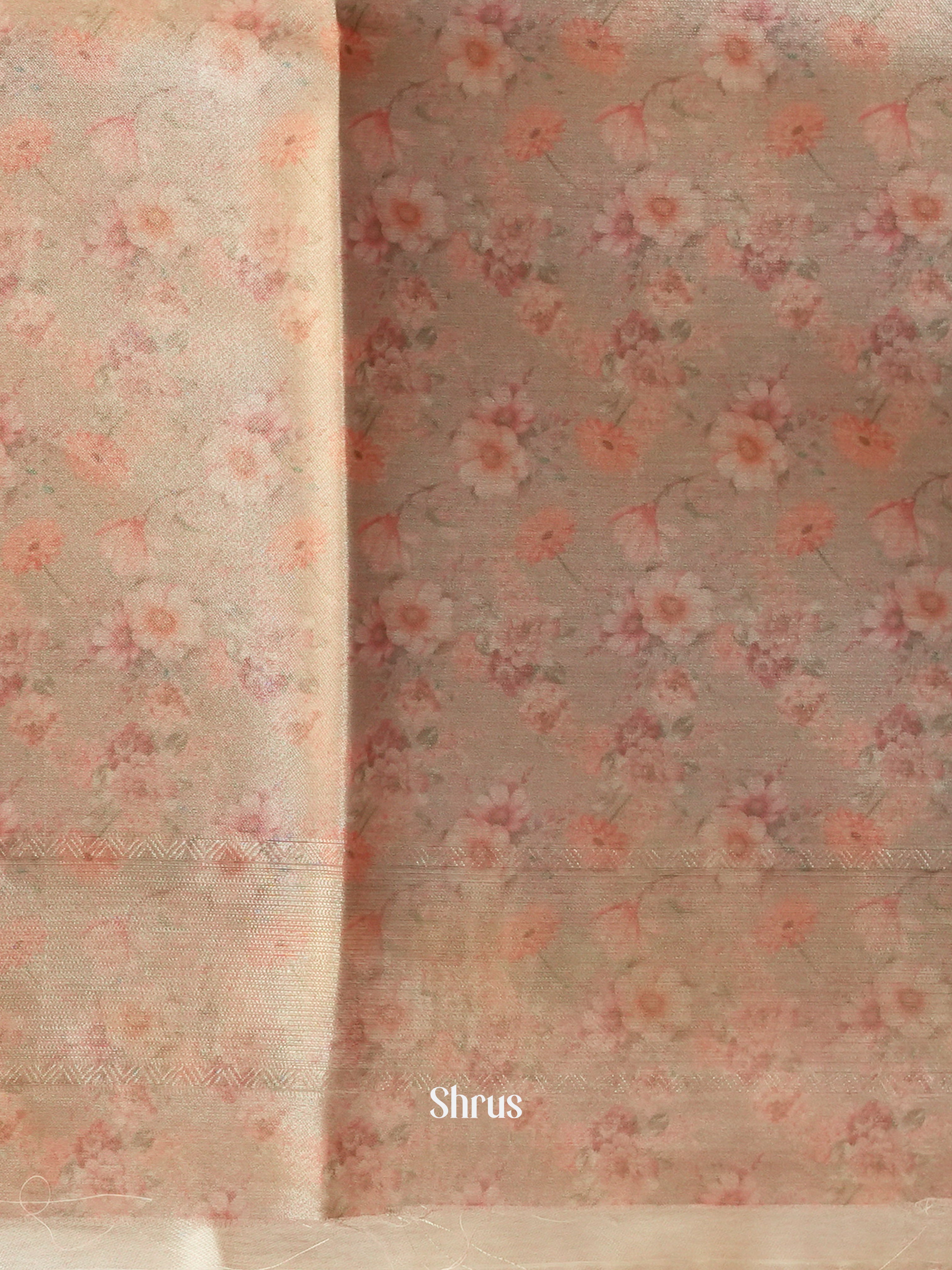 Pista Green & beige - Semi Organza Saree - Shop on Shrus.com