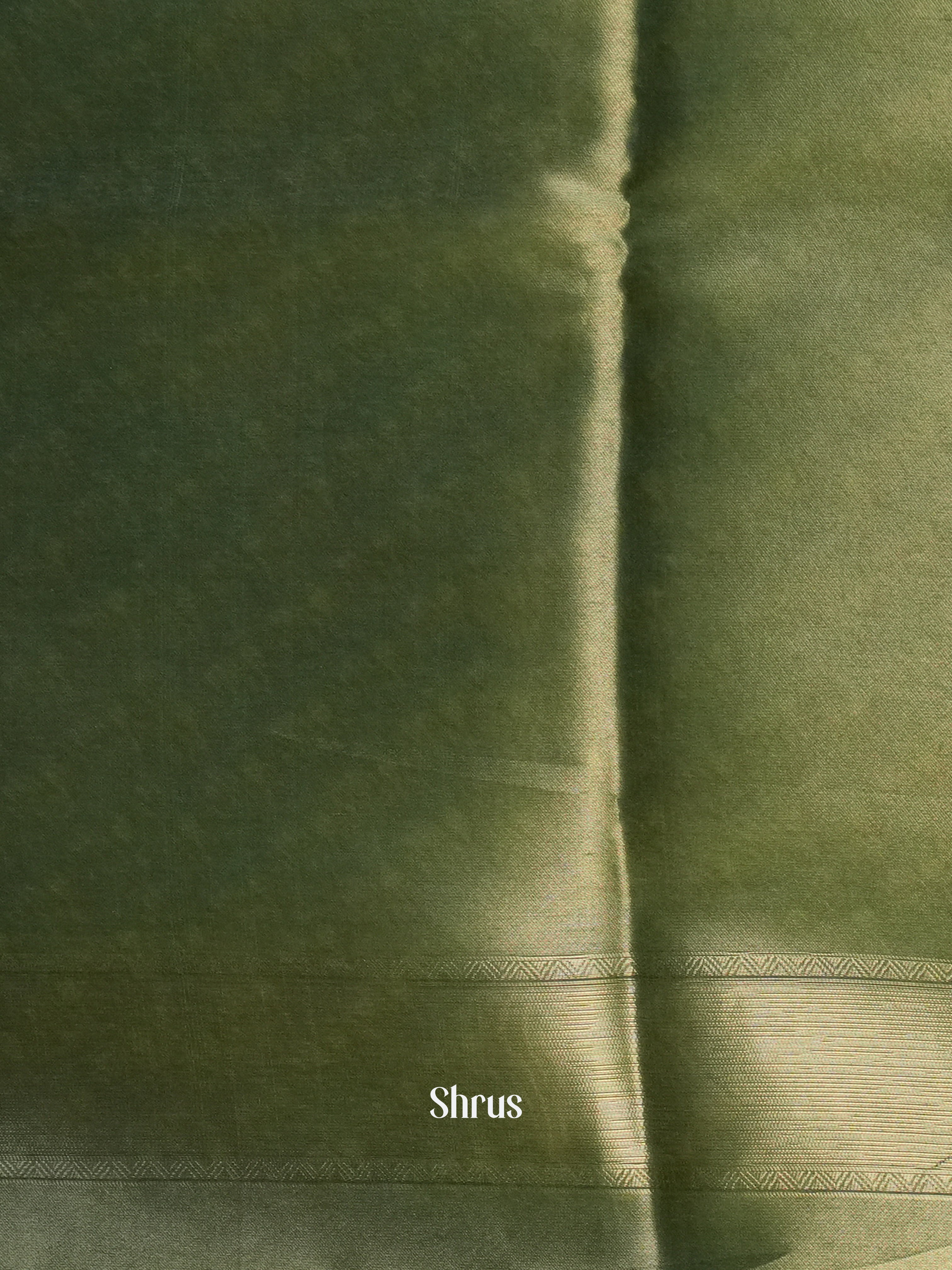 Brown & Green - Semi Organza Saree - Shop on Shrus.com