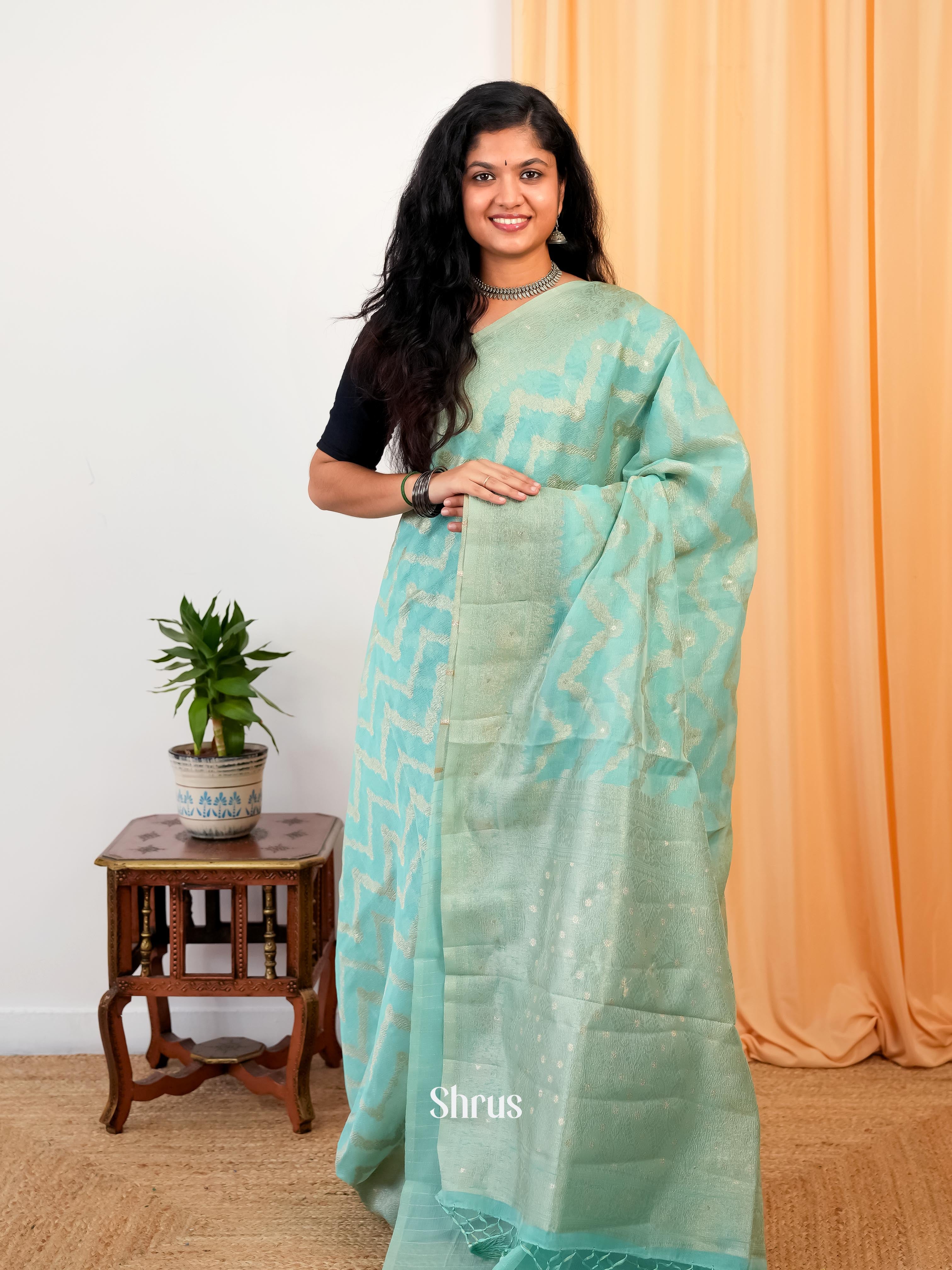 Teal - Bamboo silk Saree - Shop on Shrus.com