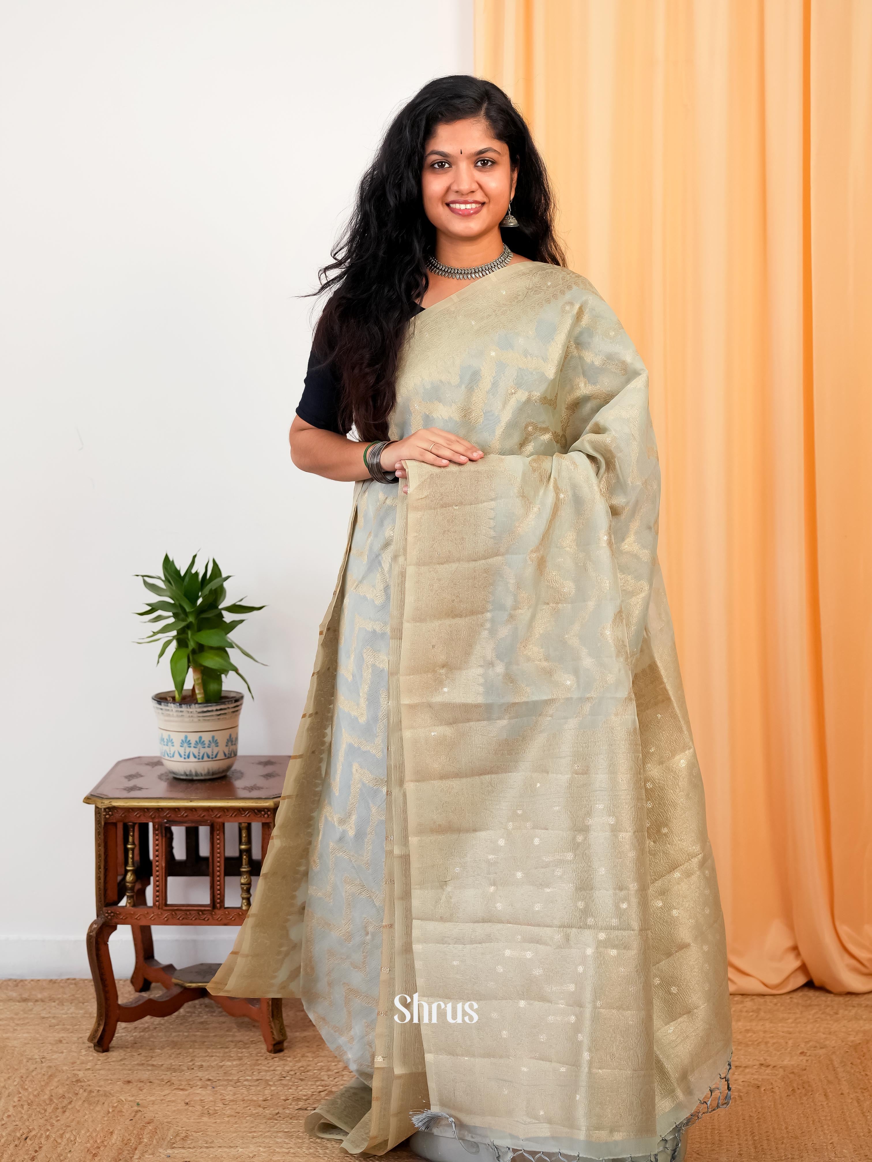 Grey - Bamboo silk Saree - Shop on Shrus.com