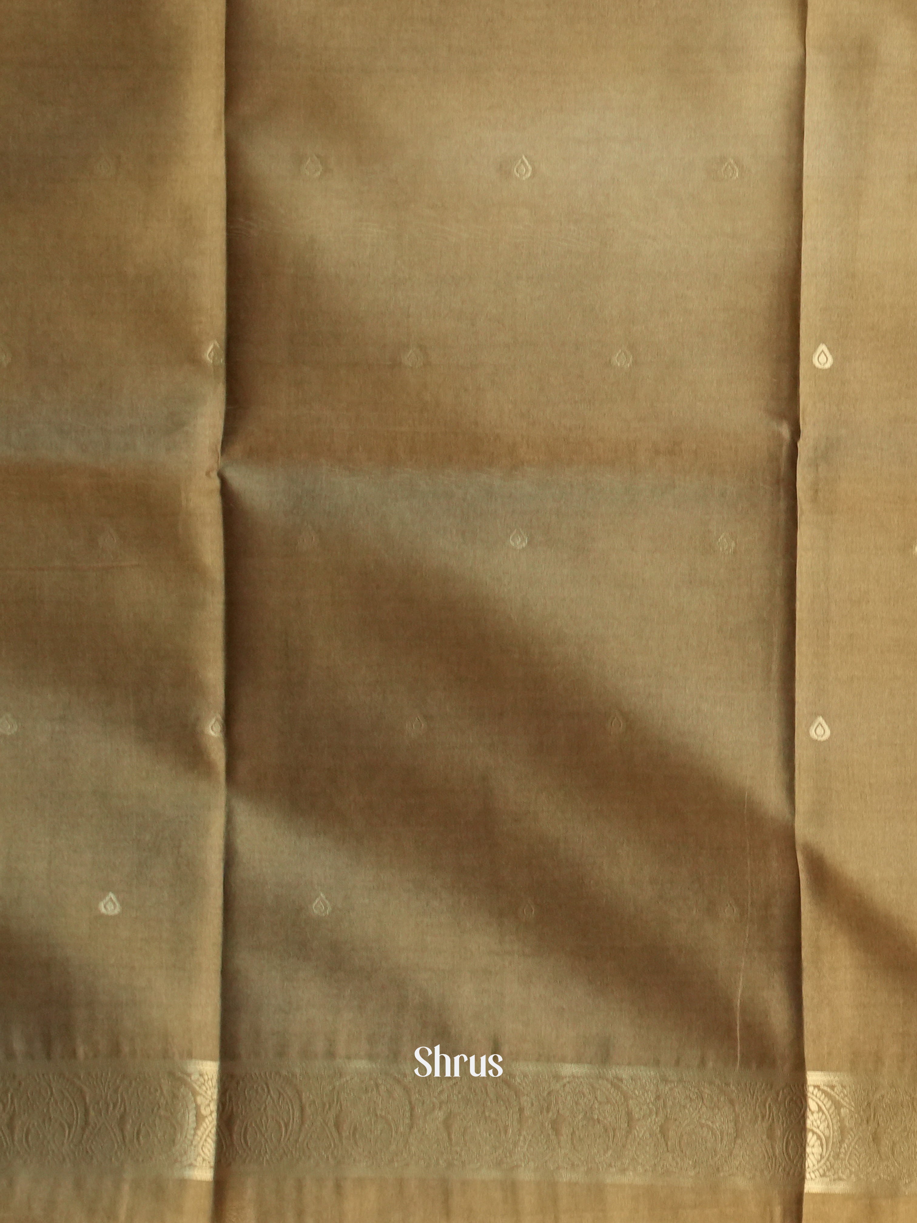 Cream & Green - Semi Tussar Saree - Shop on Shrus.com