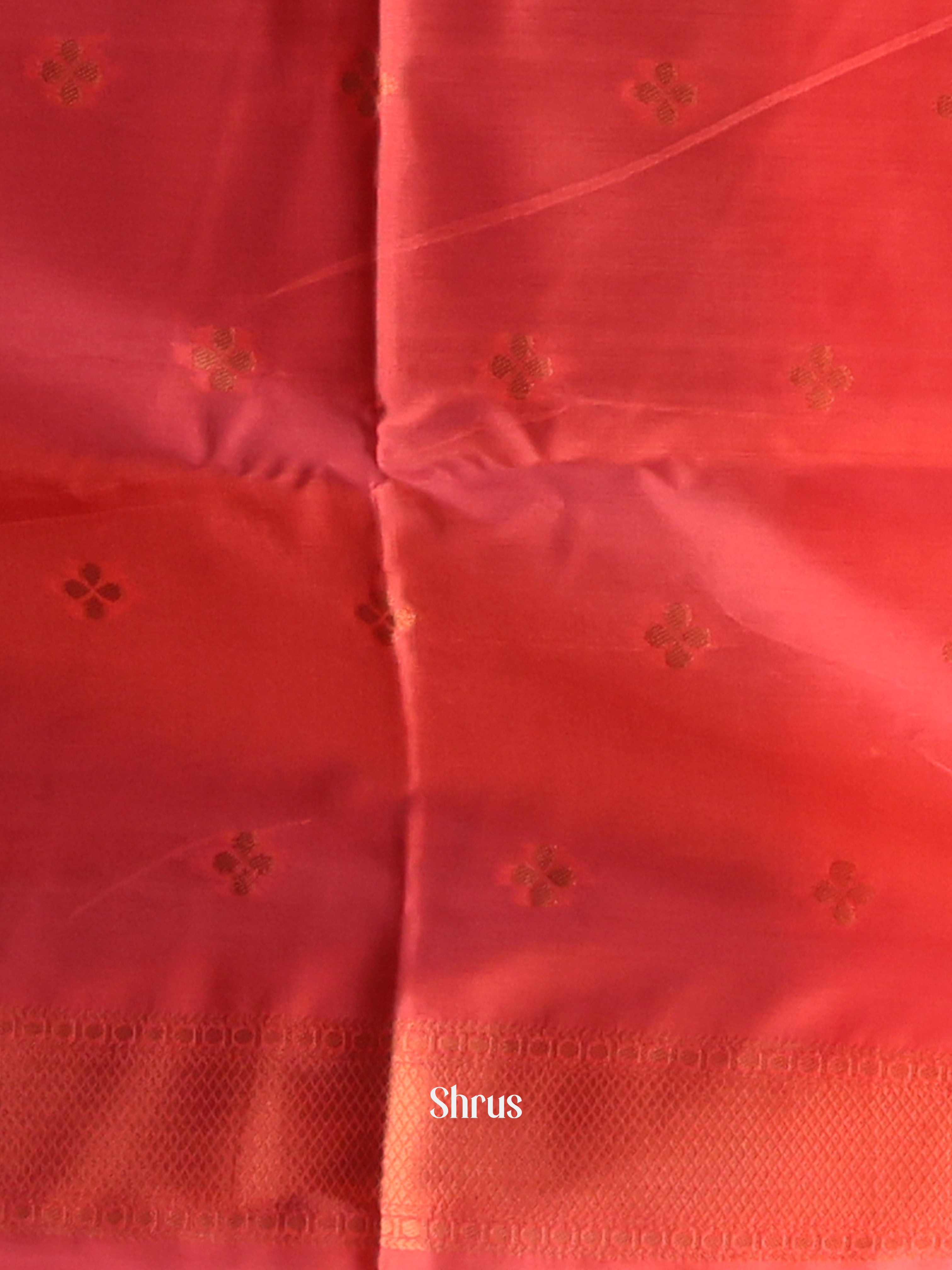Violet & Red - Semi Softsilk Saree - Shop on Shrus.com