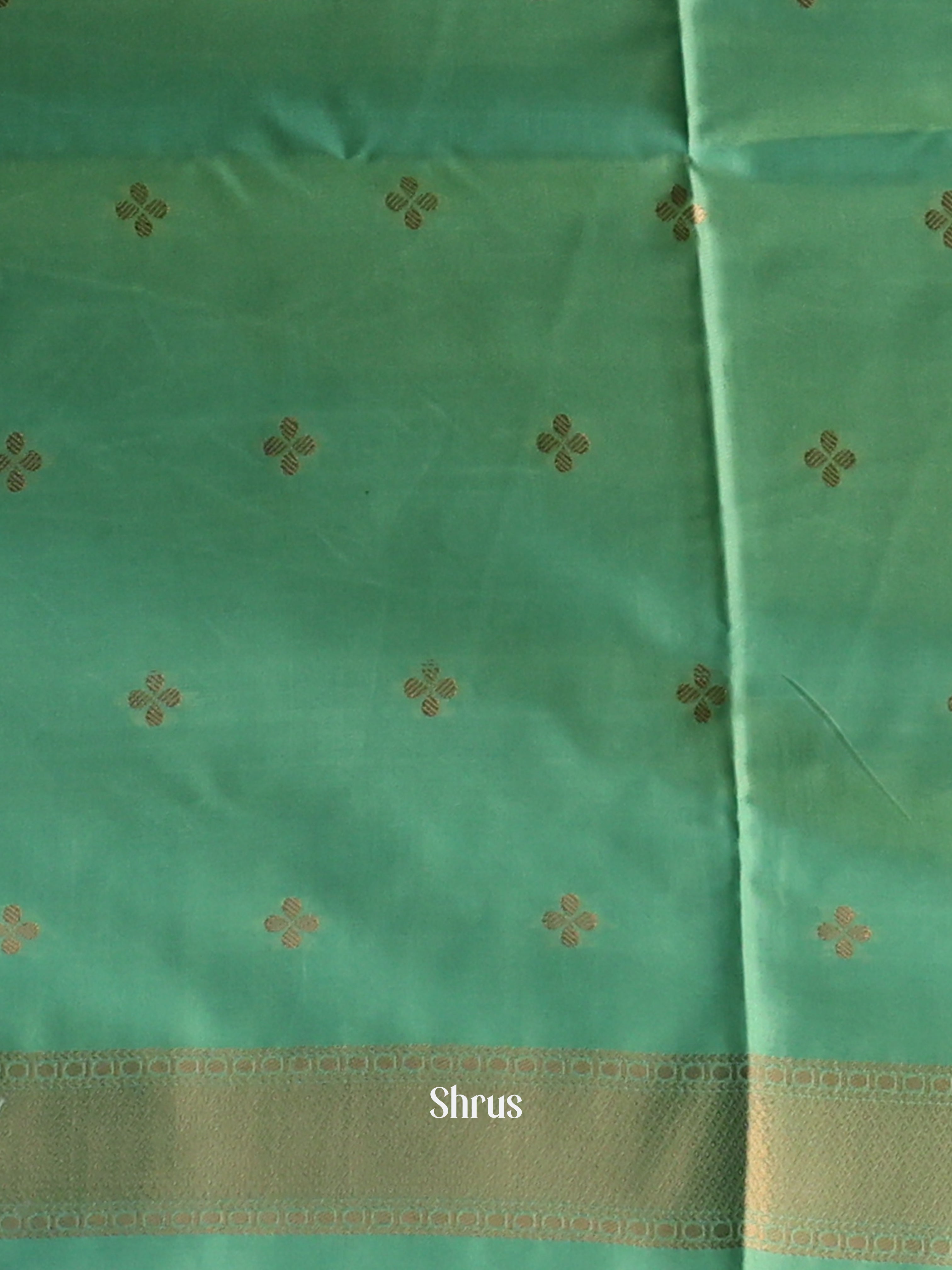Grey & green - Semi Softsilk Saree - Shop on Shrus.com