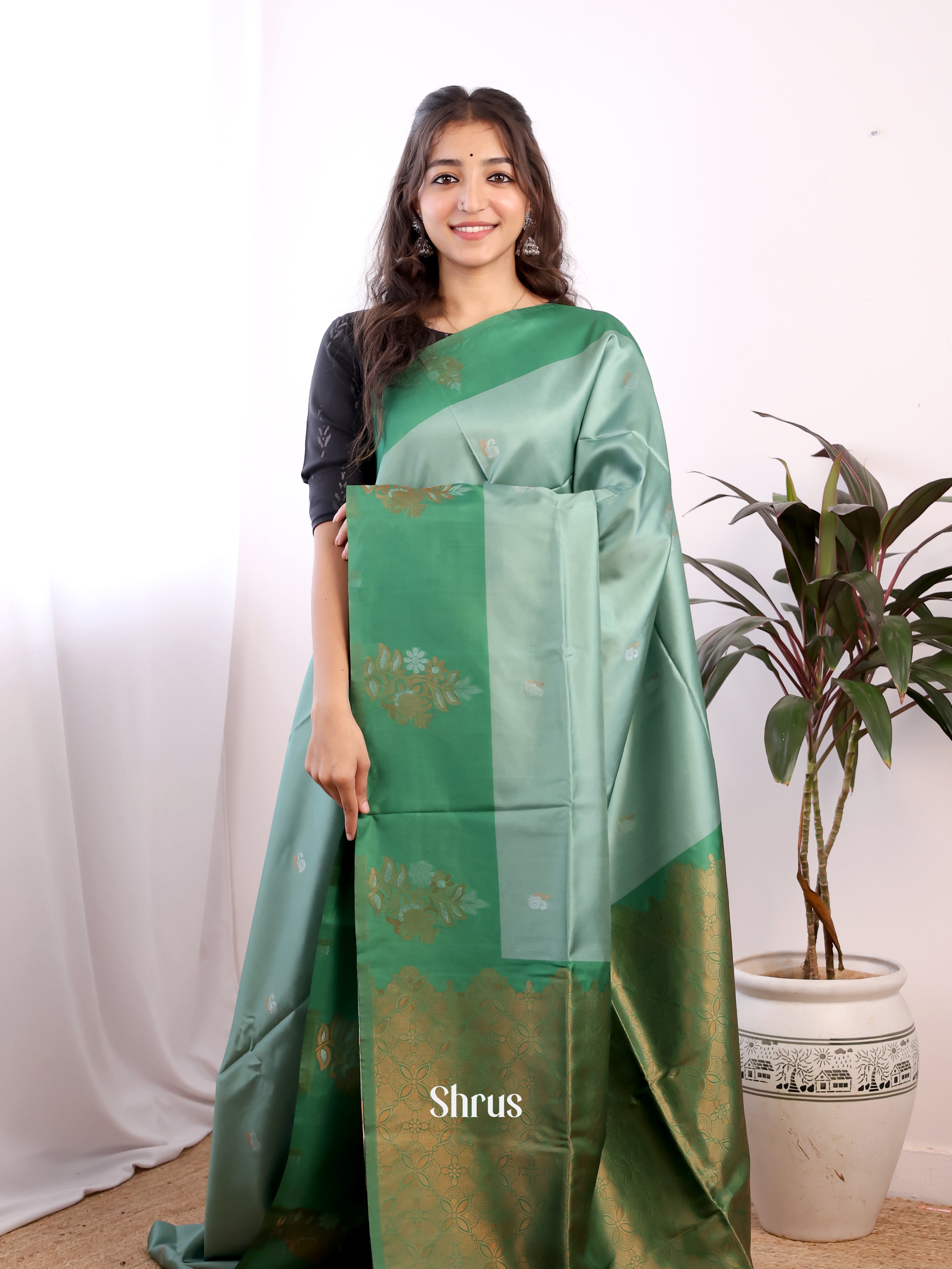 Greyish Green & Green - Semi Softsilk Saree - Shop on Shrus.com
