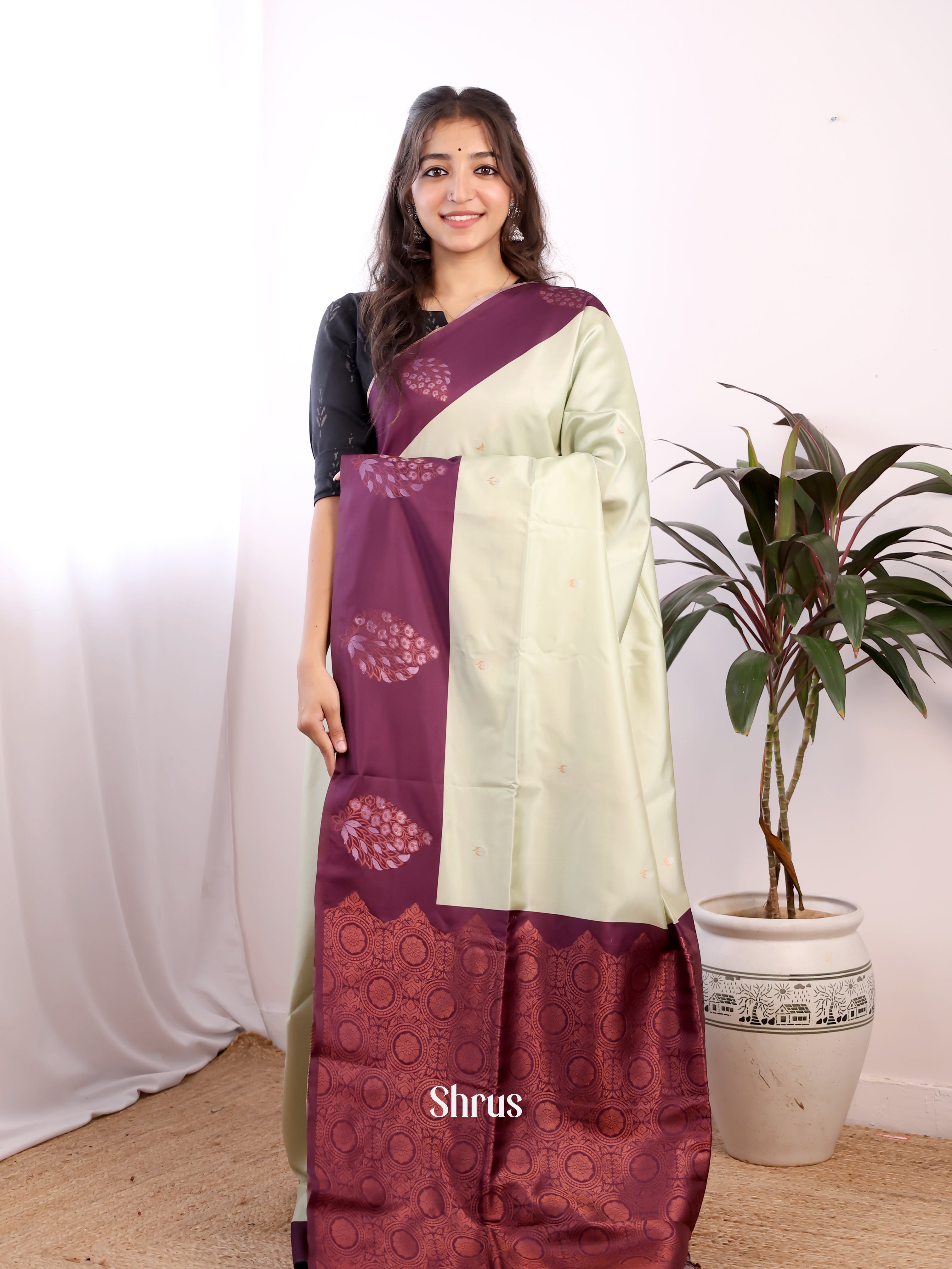 Pastel Green & Purple - Semi Softsilk Saree - Shop on Shrus.com