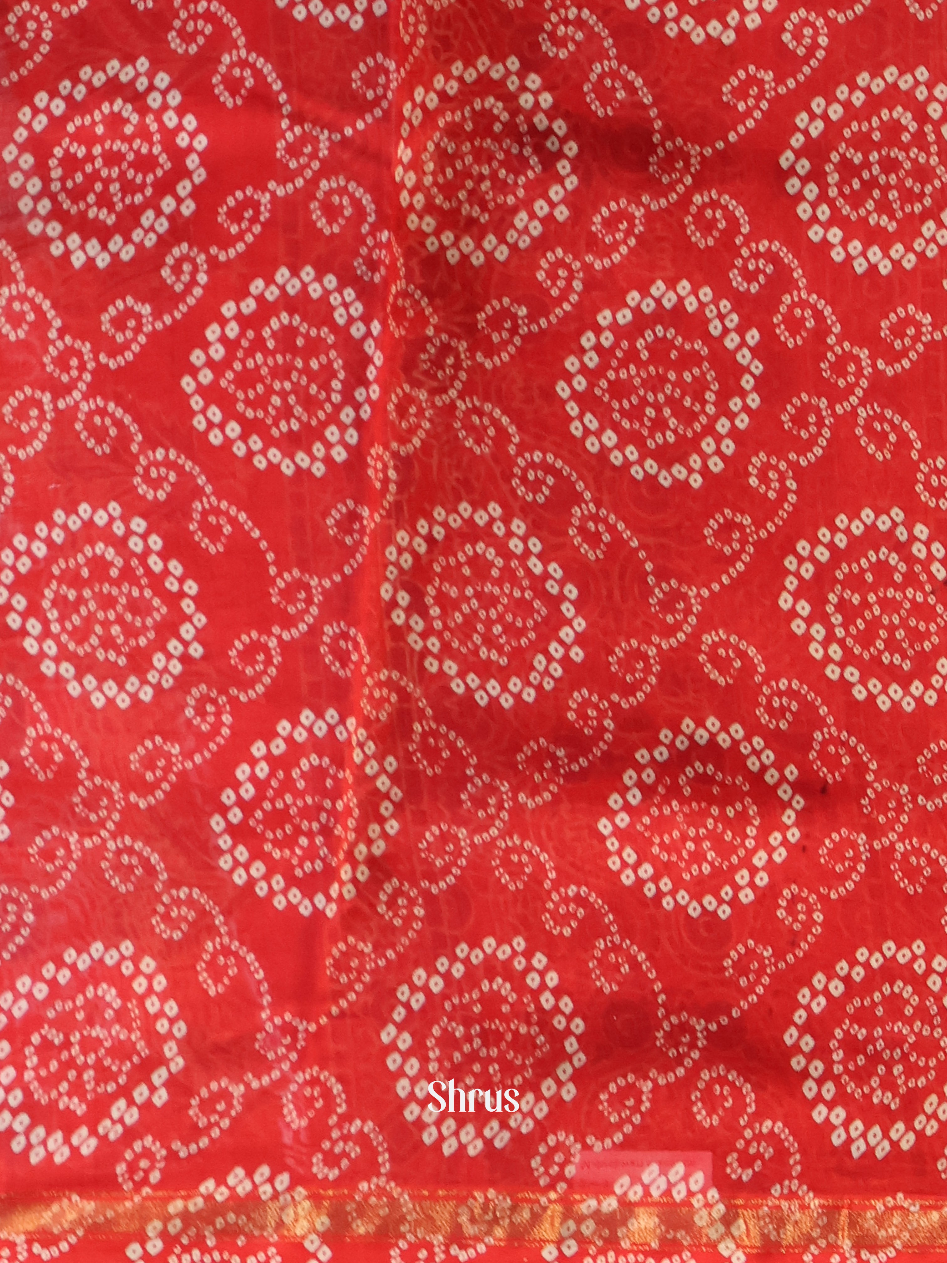 Red - Maheshwari silkcotton Saree - Shop on Shrus.com