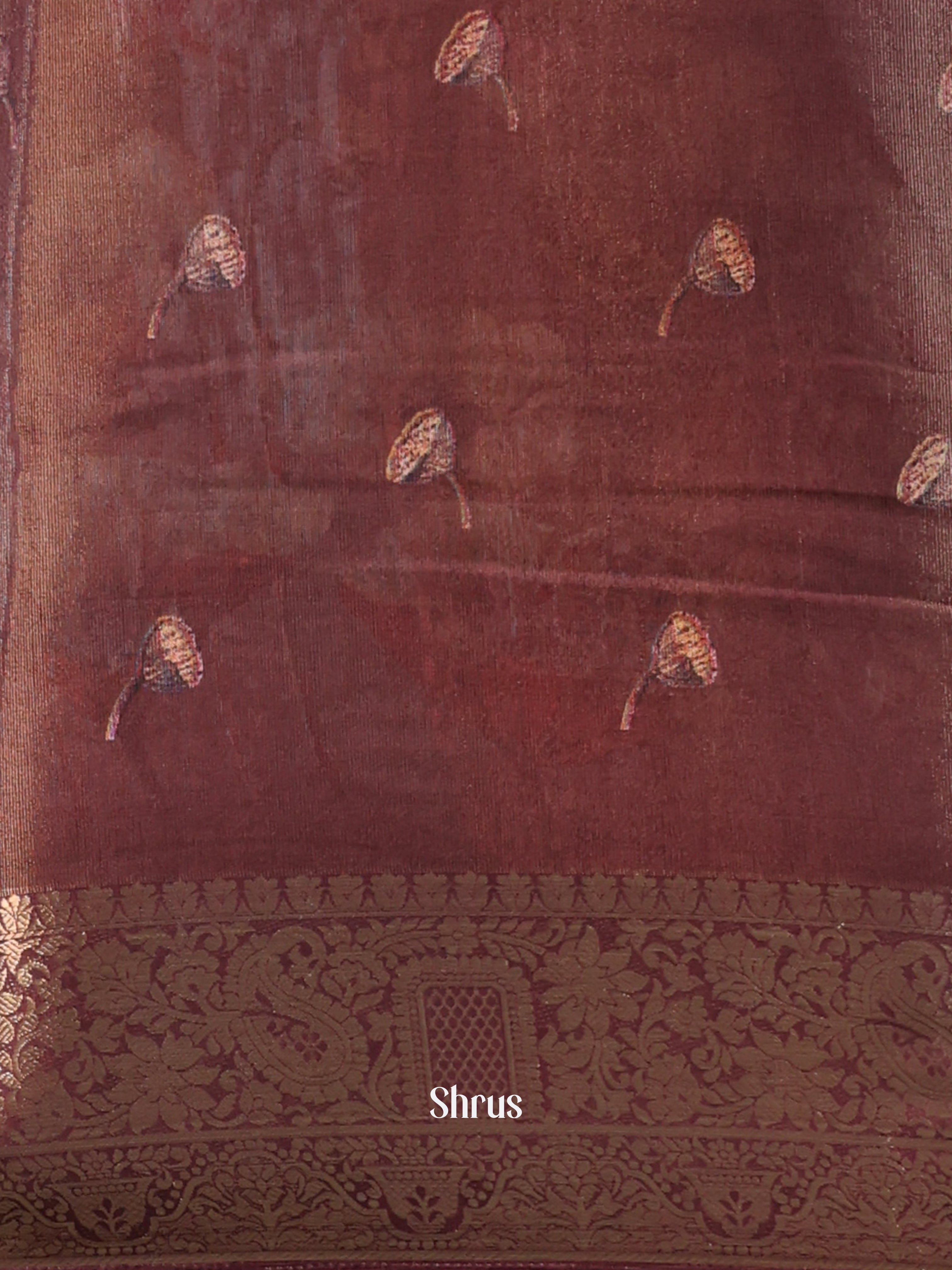 CIS13060 - Semi Tissue Dola Saree - Shop on Shrus.com