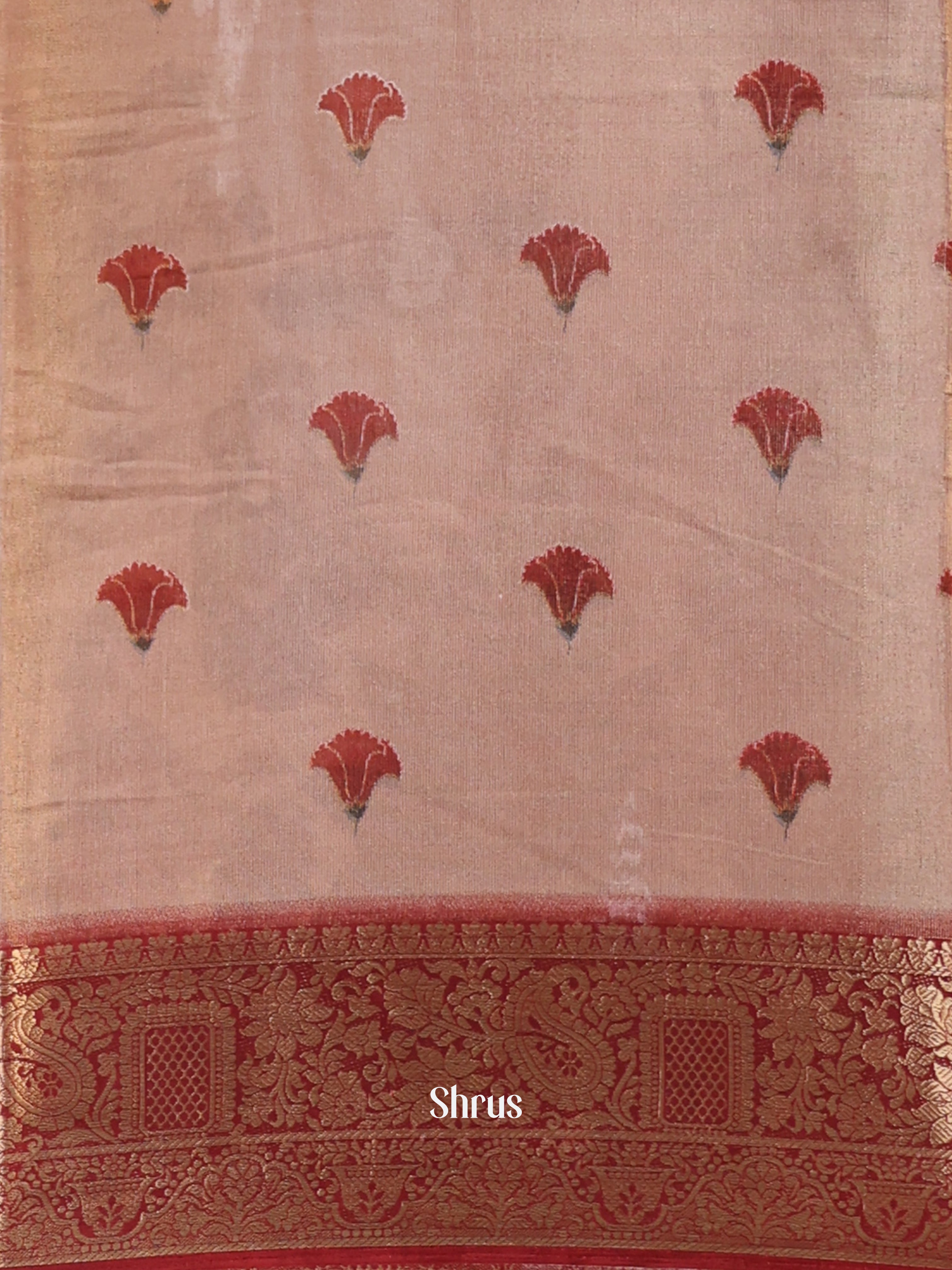 CIS13062 - Semi Tissue Dola Saree - Shop on Shrus.com