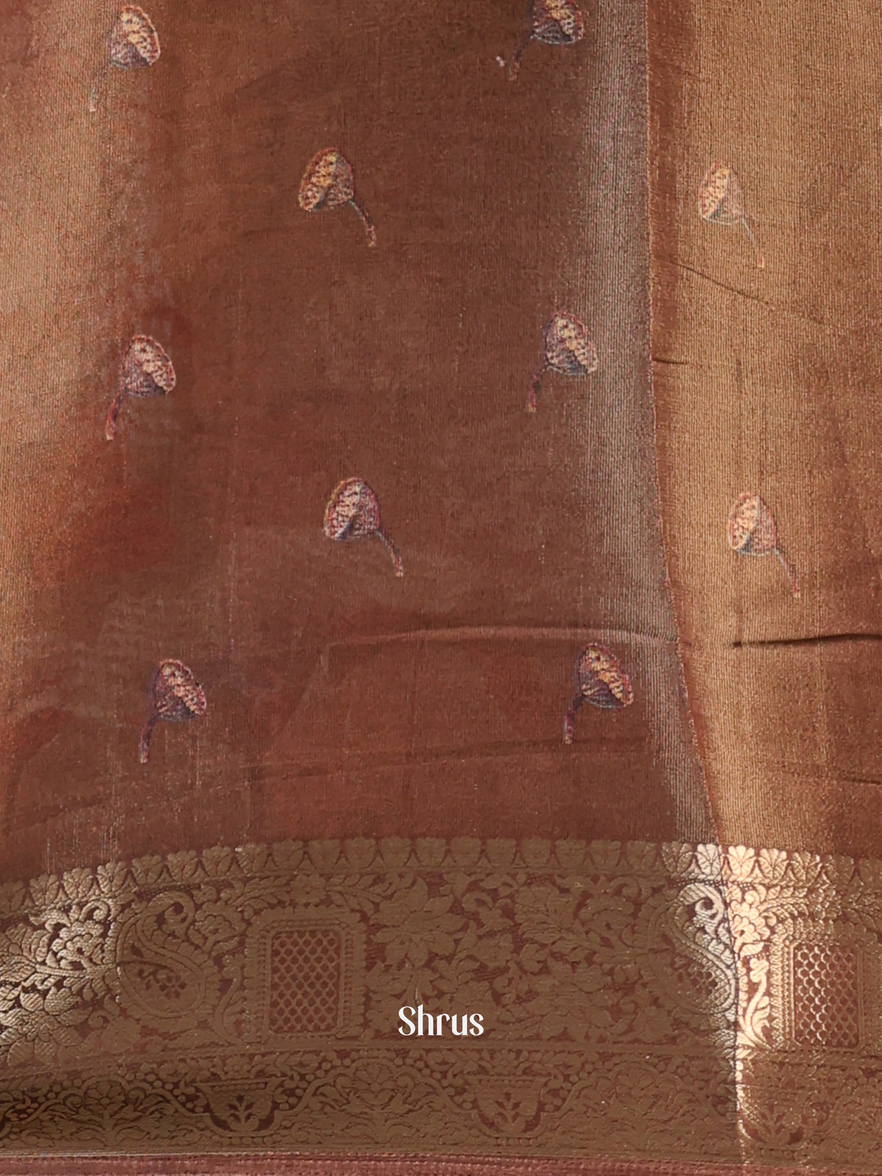 CIS13069 - Semi Tissue Dola Saree - Shop on Shrus.com