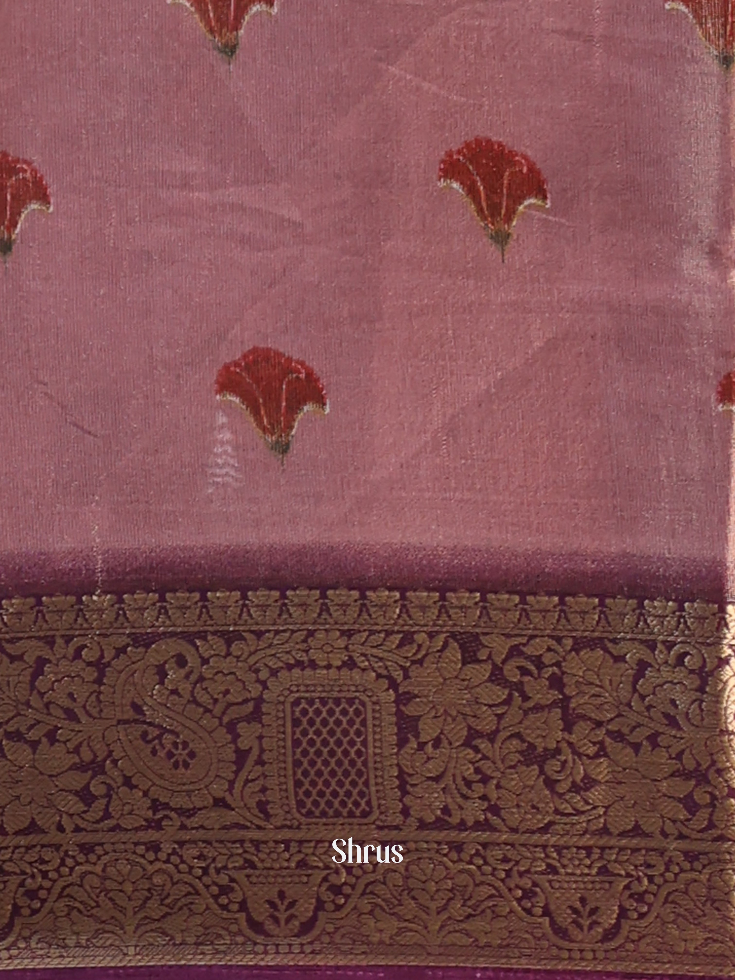 CIS13070 - Semi Tissue Dola Saree - Shop on Shrus.com