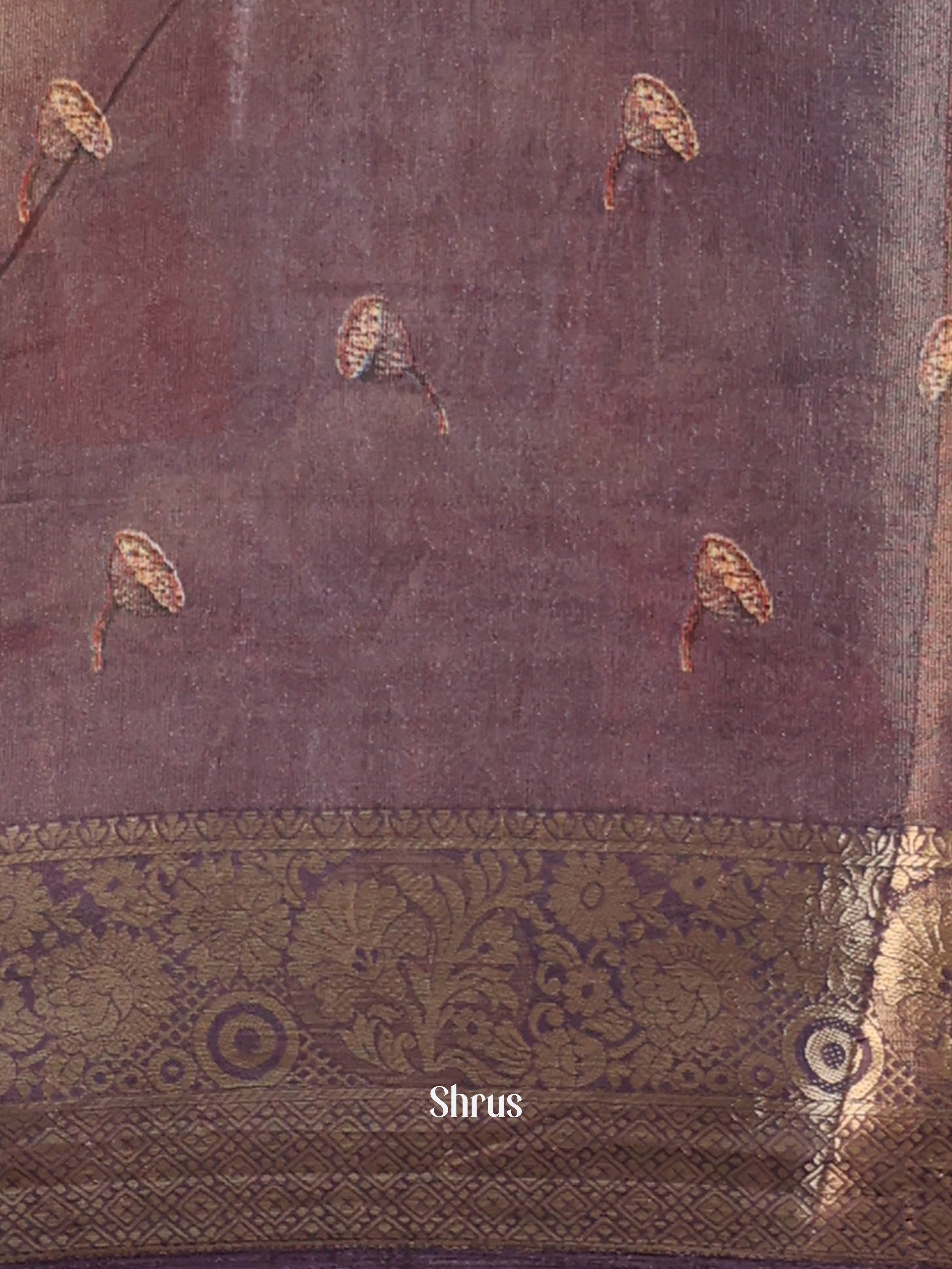 CIS13077 - Semi Tissue Dola Saree - Shop on Shrus.com