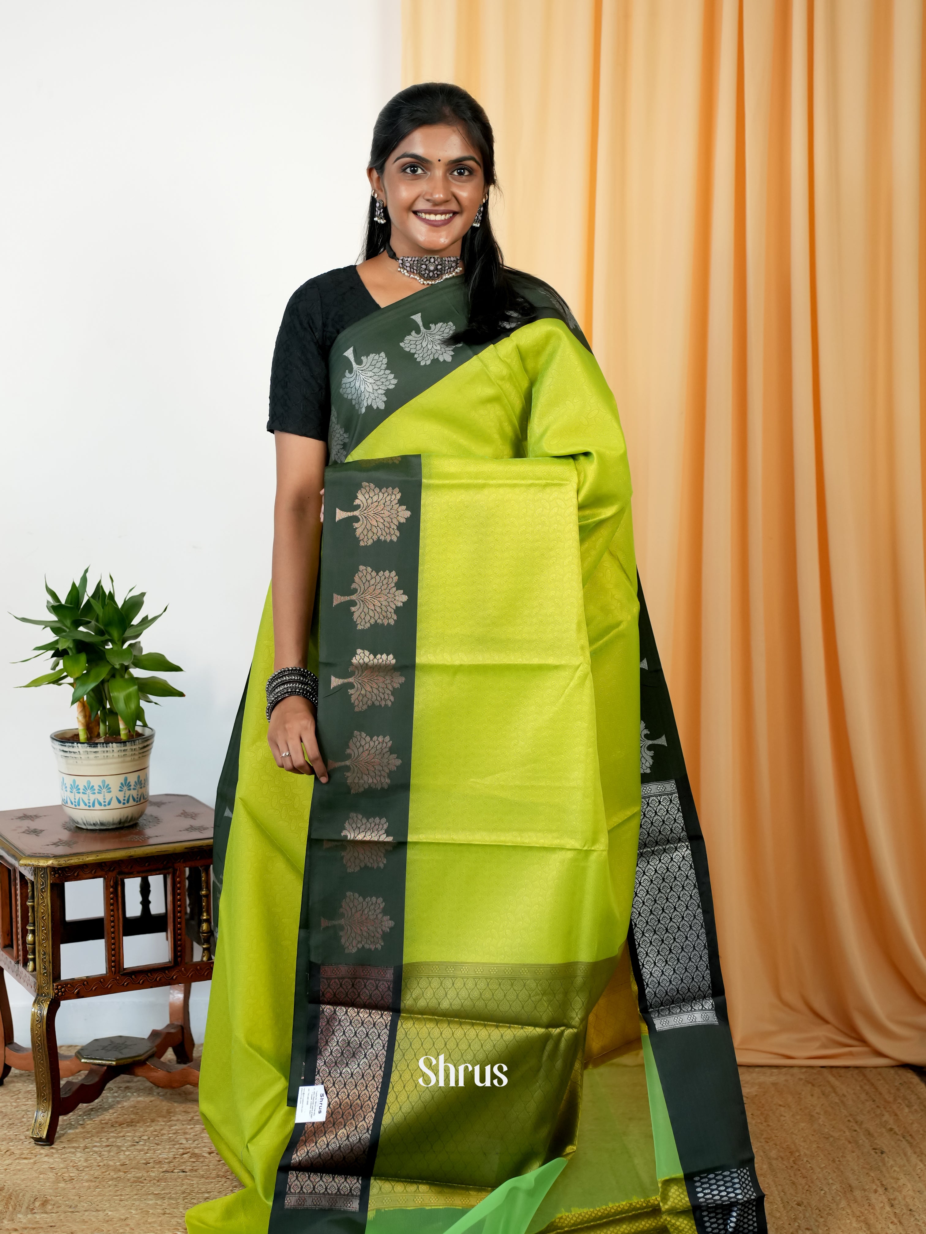Light Green & Green- Tanchoi Saree - Shop on Shrus.com