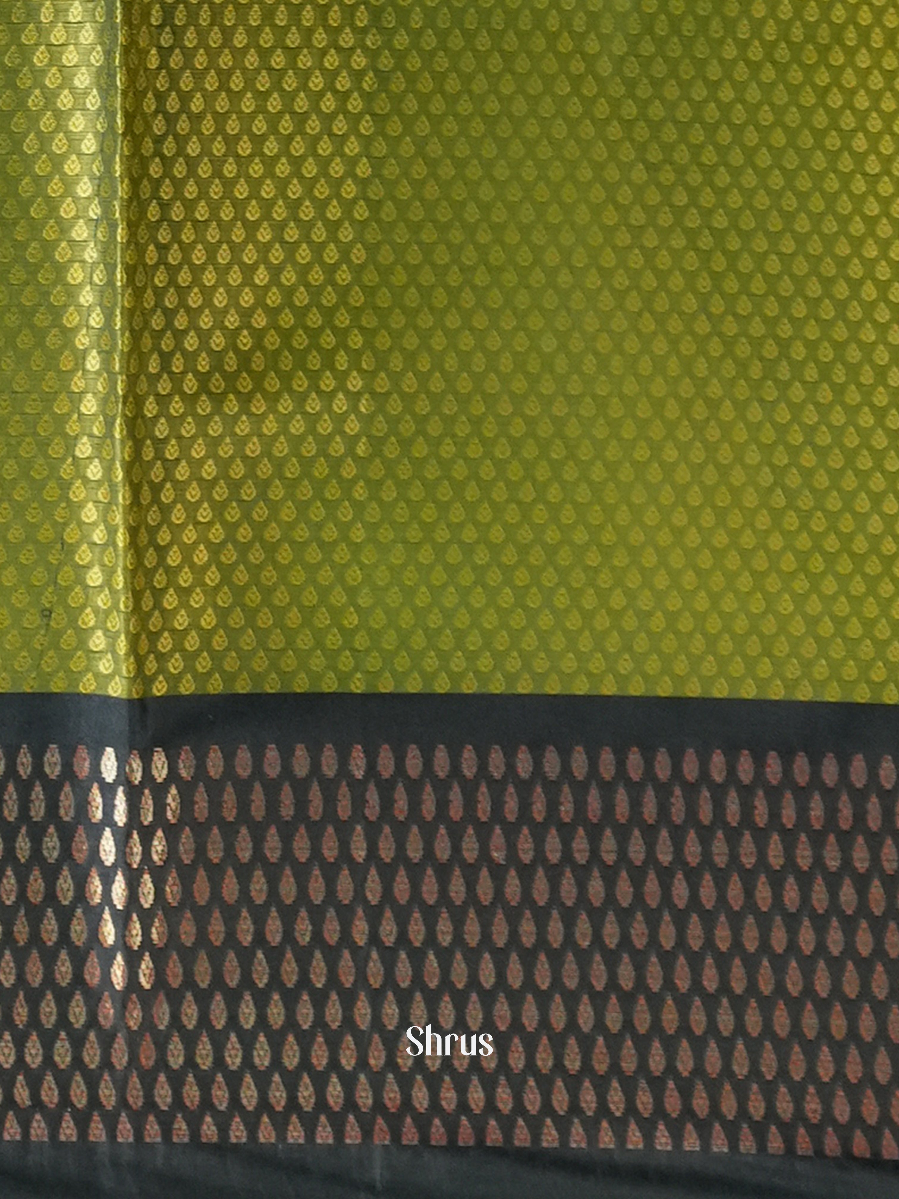 Light Green & Green- Tanchoi Saree - Shop on Shrus.com