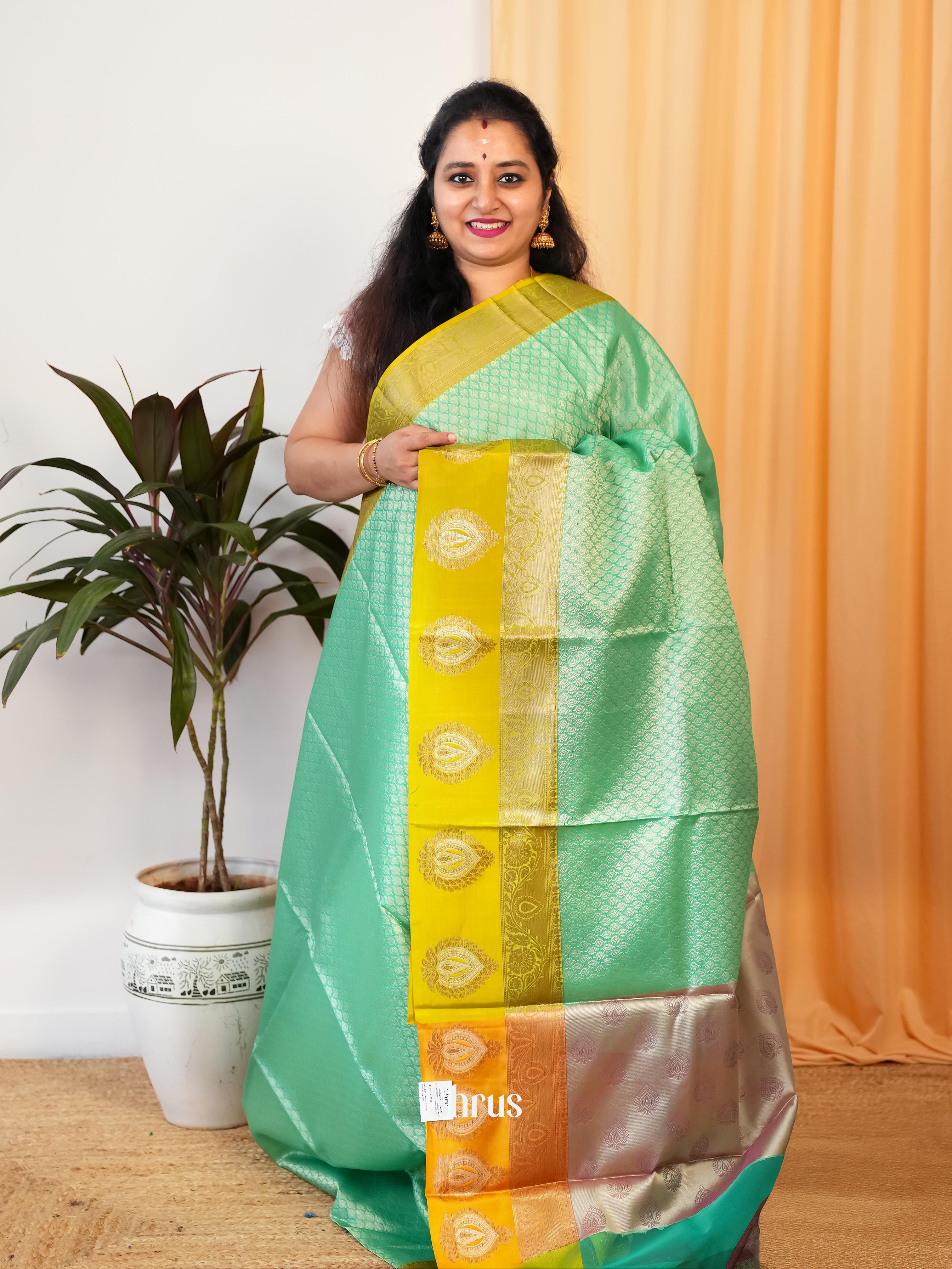 Pista Green & Green- Tanchoi Saree - Shop on Shrus.com